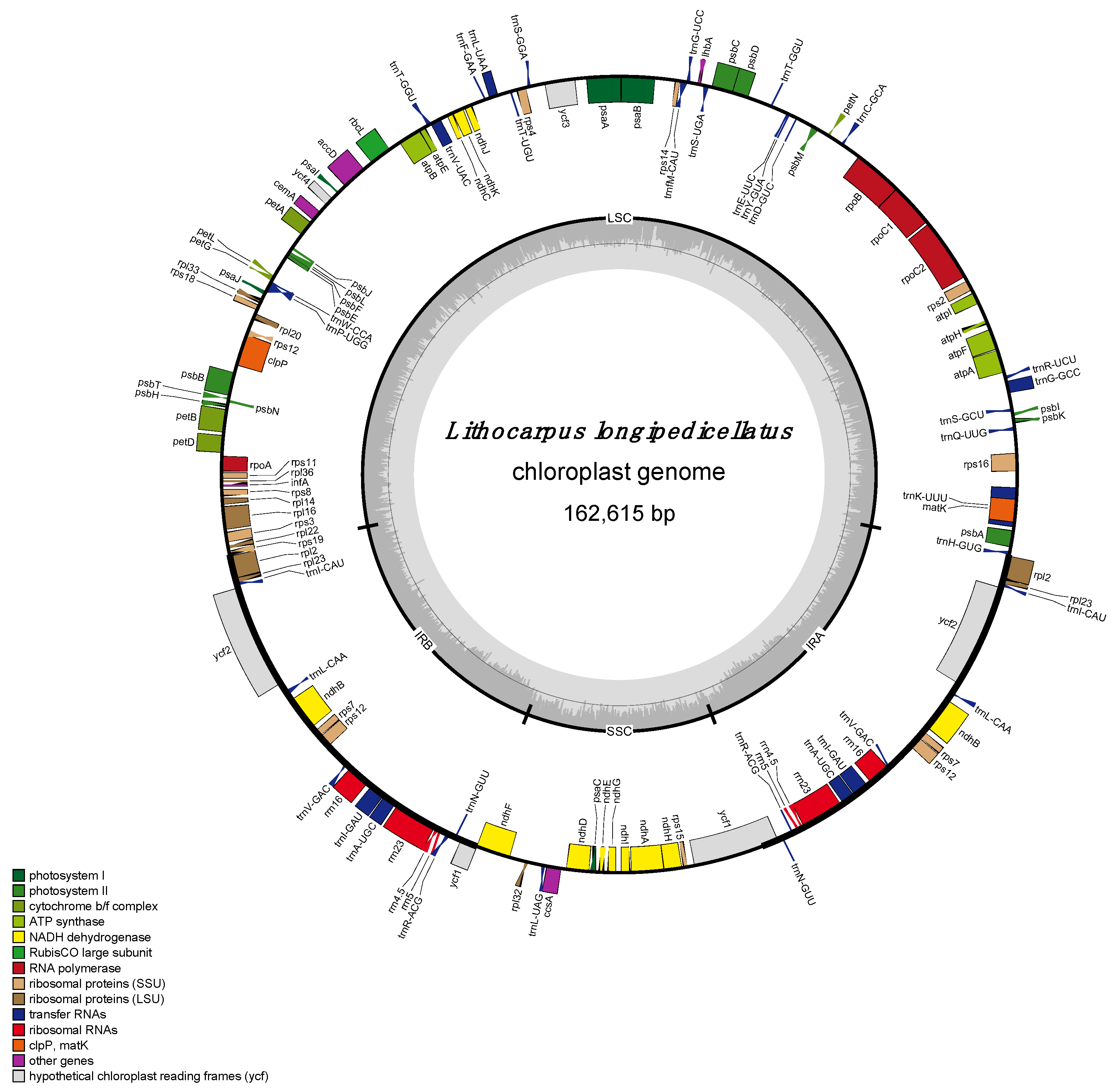 Preprints 157464 g001