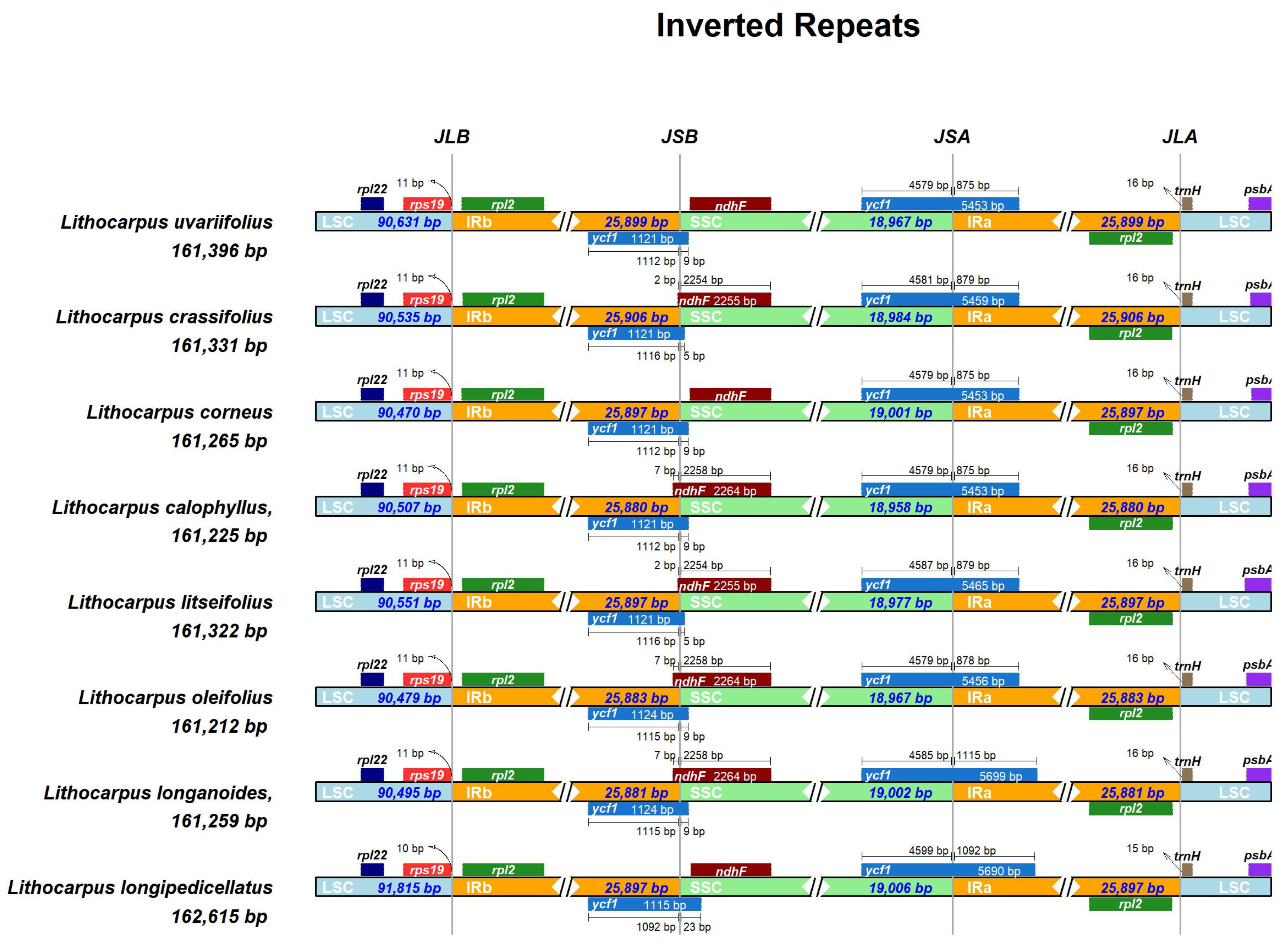 Preprints 157464 g004