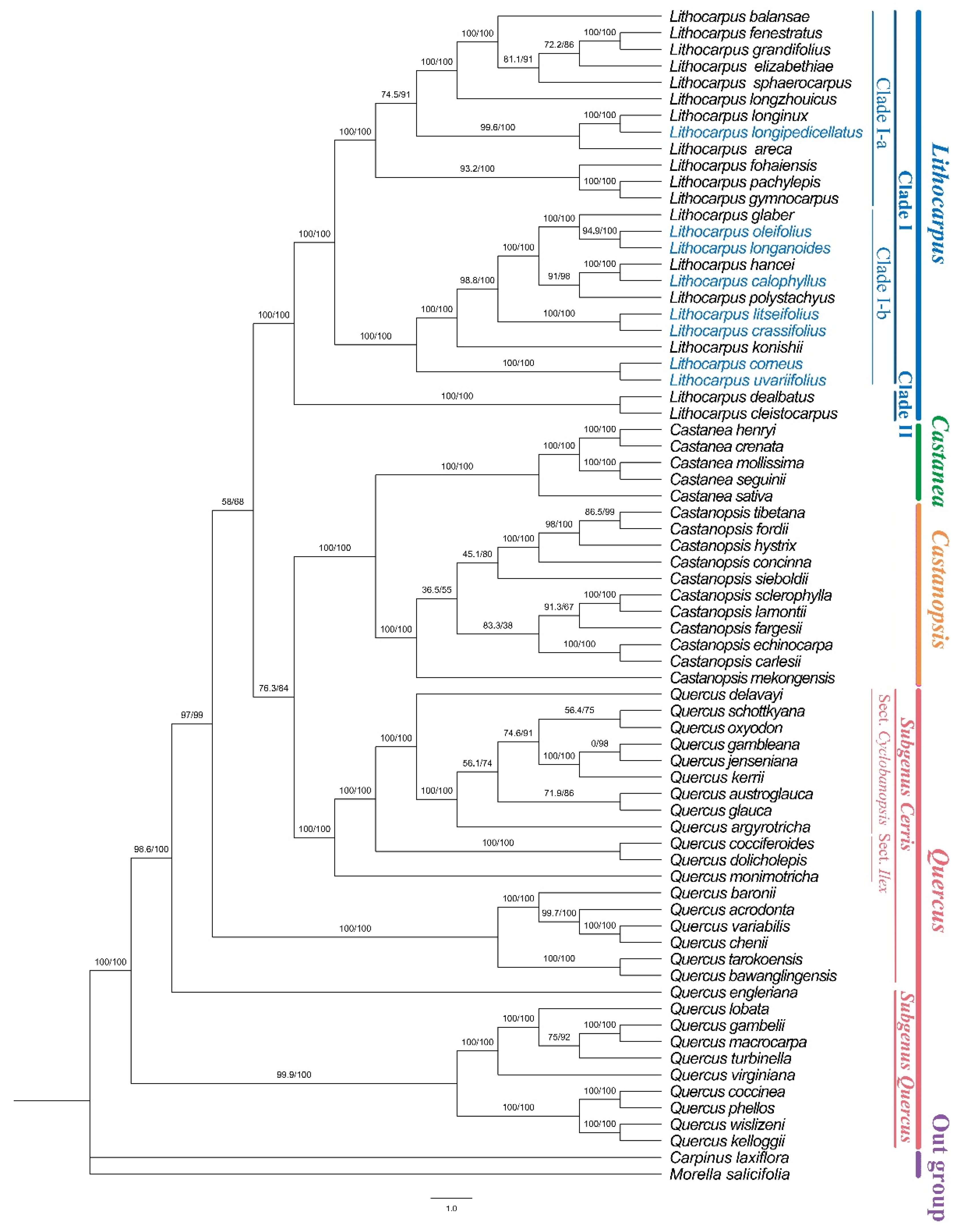 Preprints 157464 g008