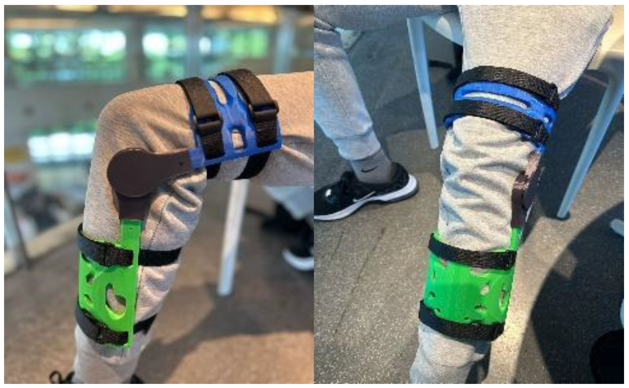 Preprints 167472 g005