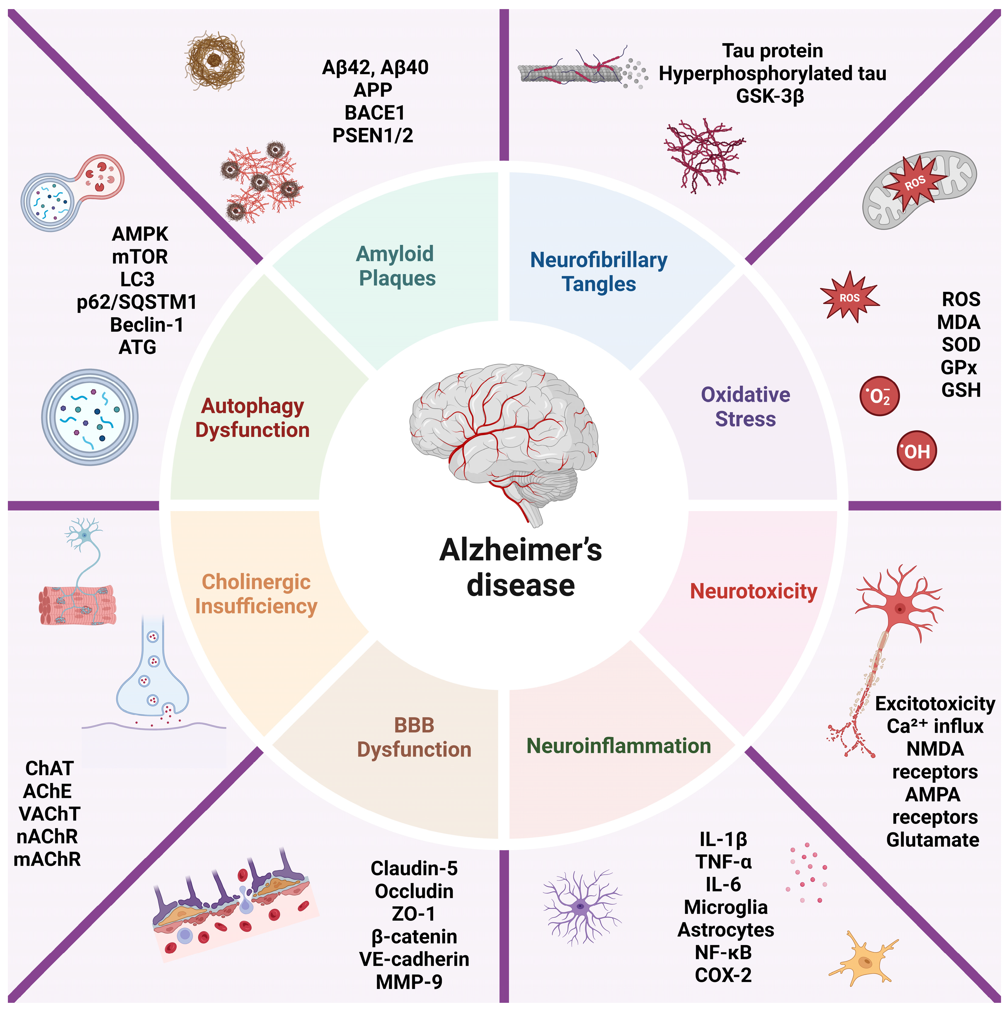 Preprints 152335 g001