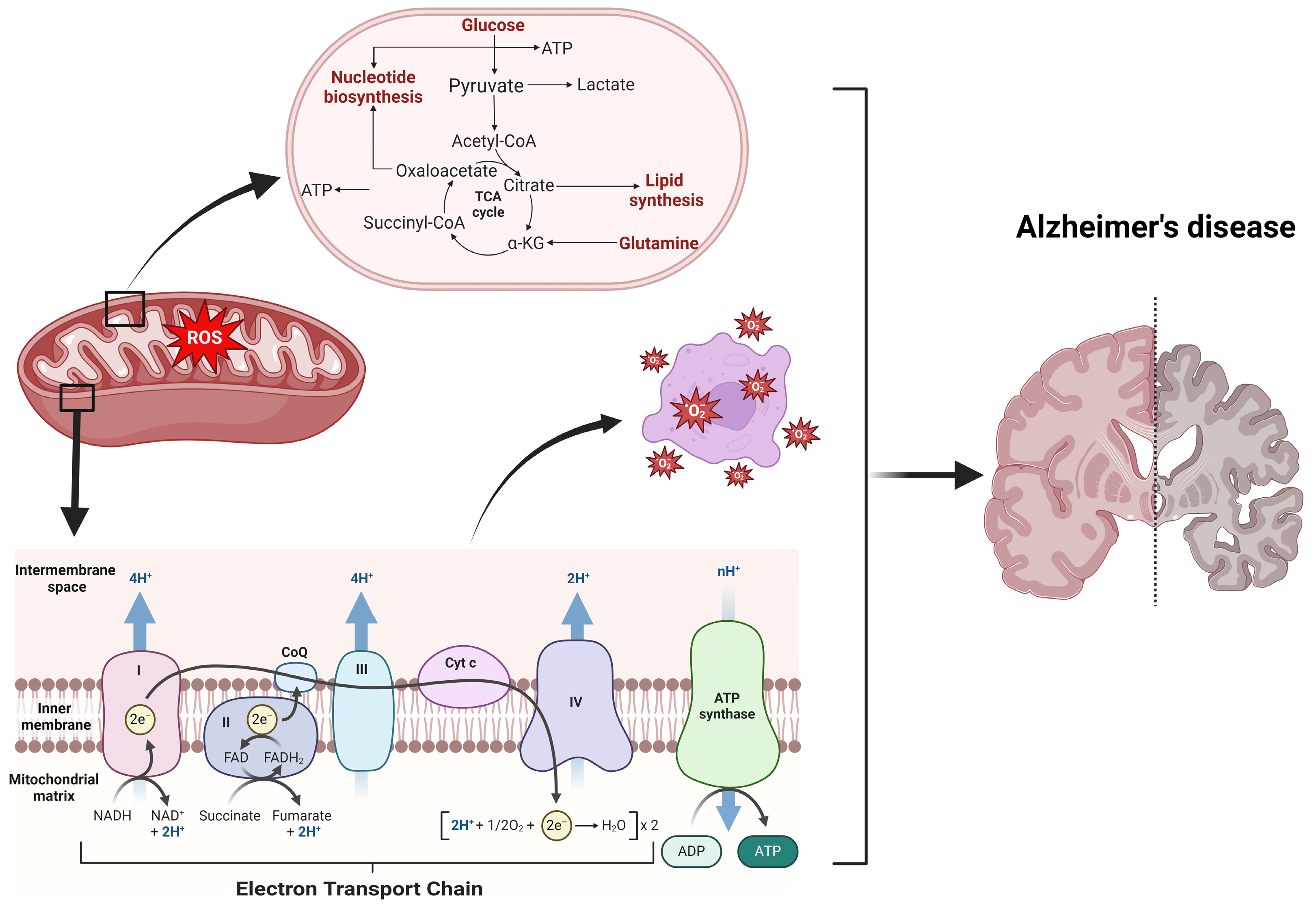 Preprints 152335 g003