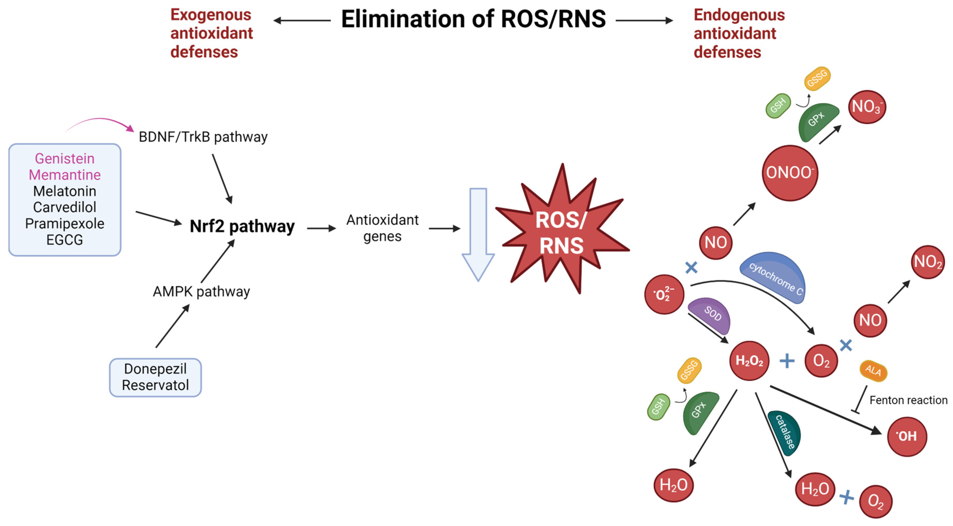 Preprints 152335 g004
