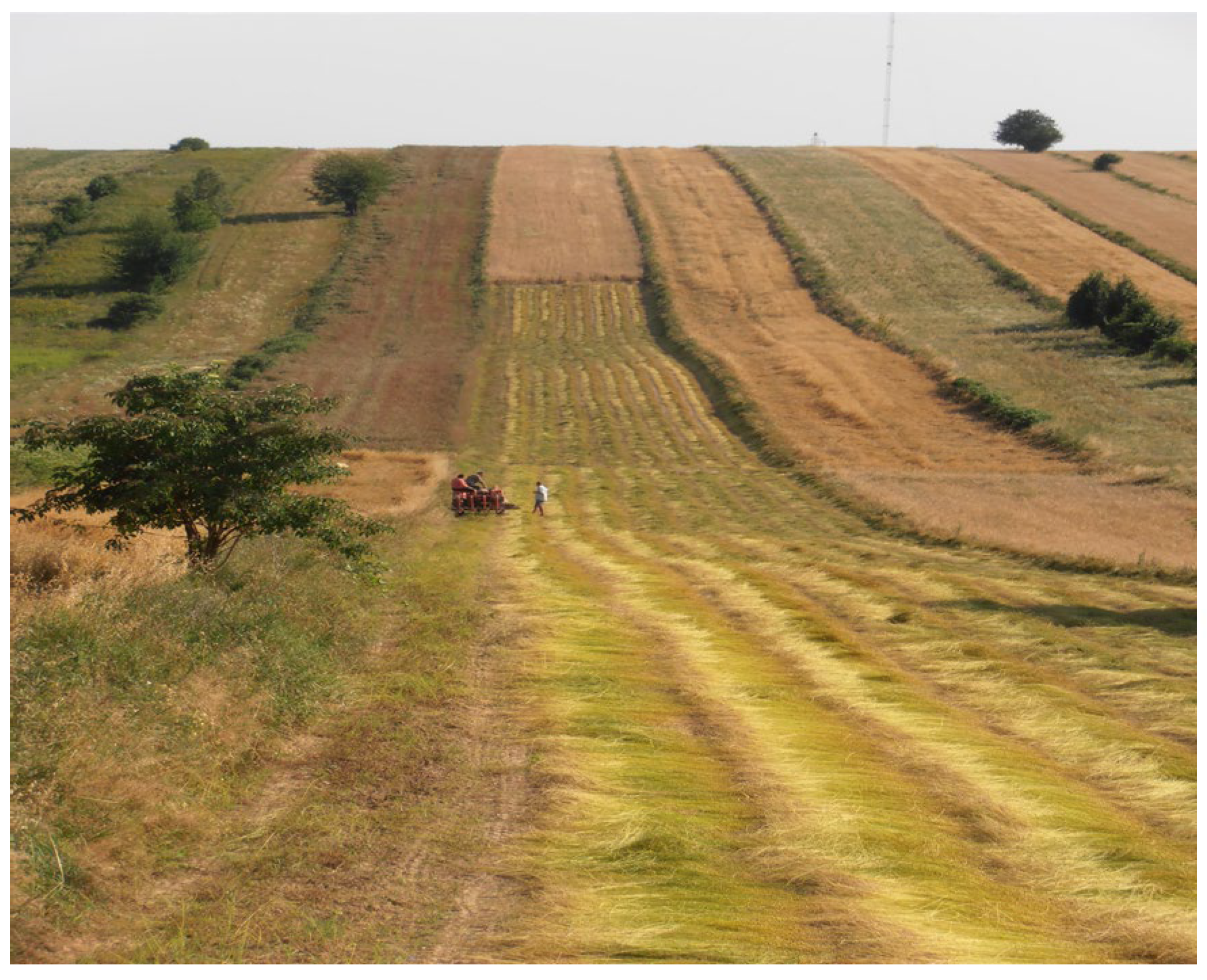 Preprints 153381 g002