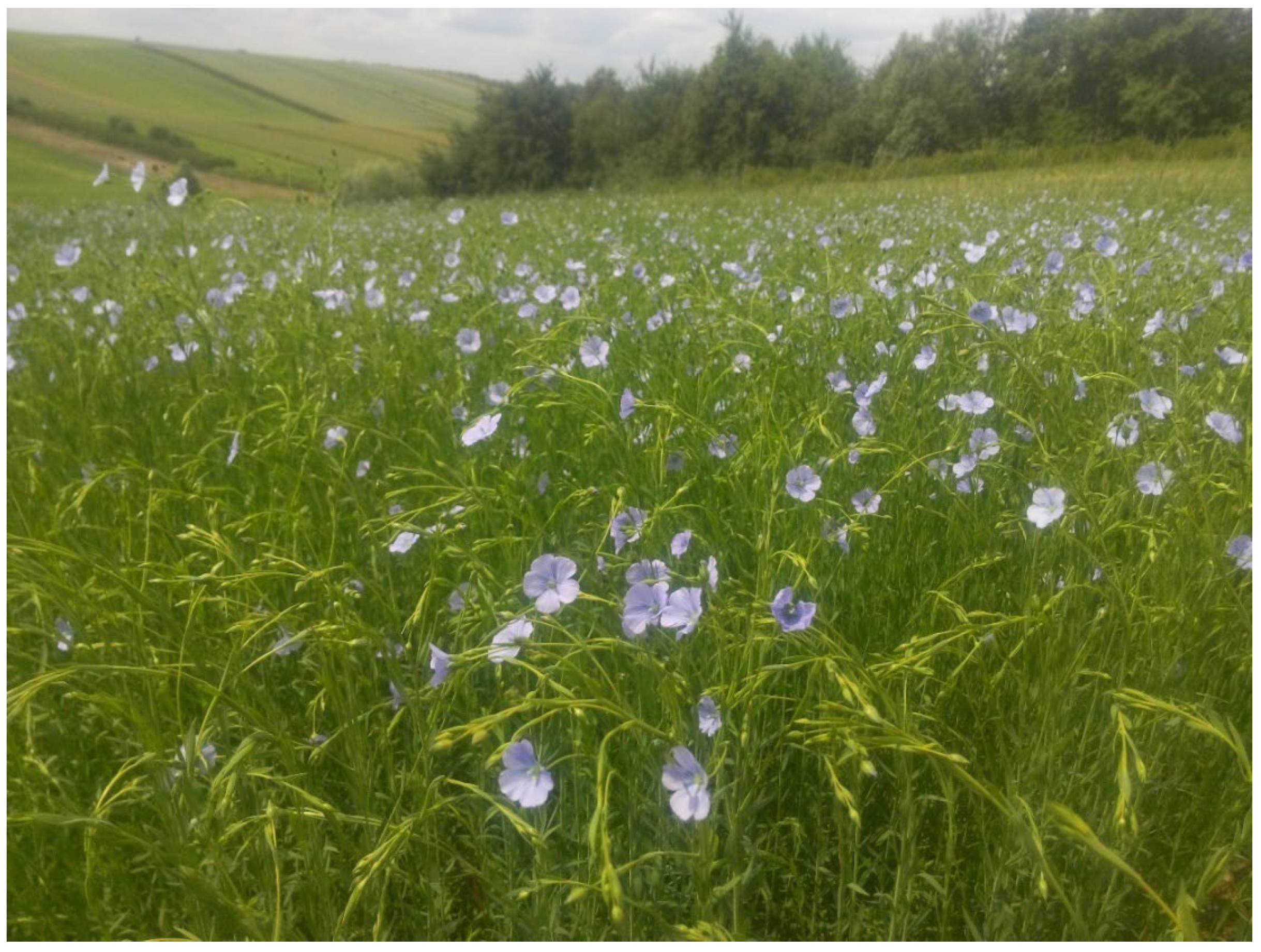 Preprints 153381 g003