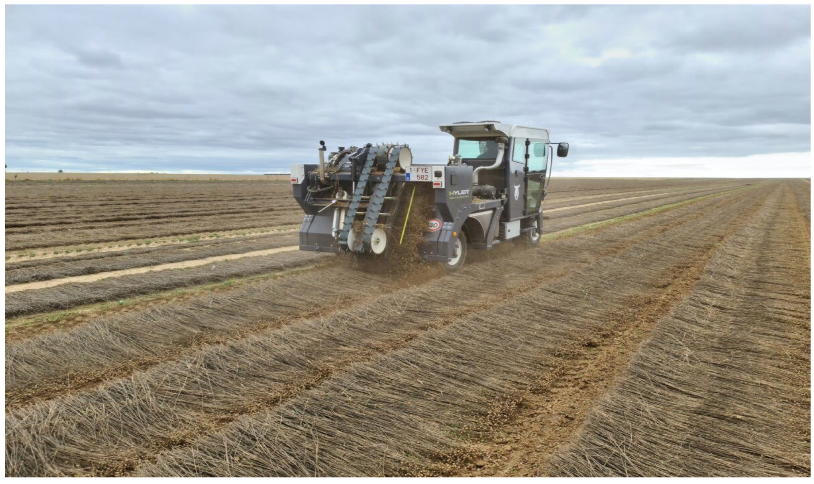 Preprints 153381 g006