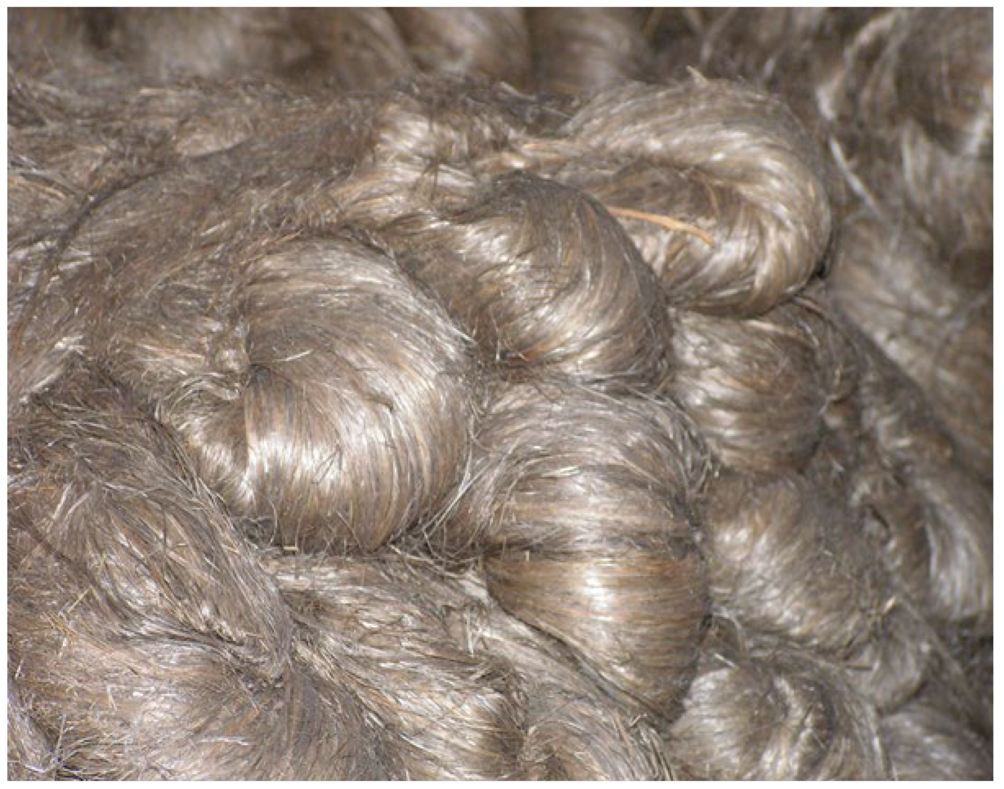 Preprints 153381 g007