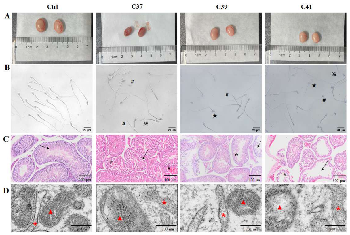 Preprints 218750 g002
