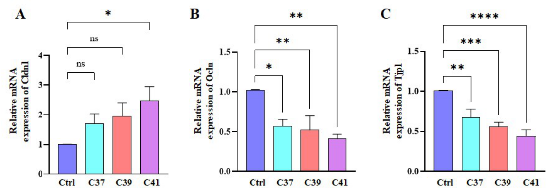 Preprints 218750 g004