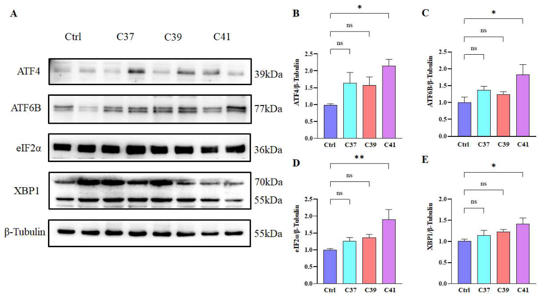 Preprints 218750 g006