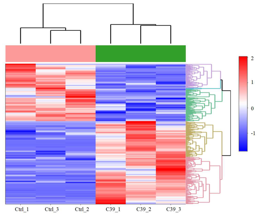 Preprints 218750 g008