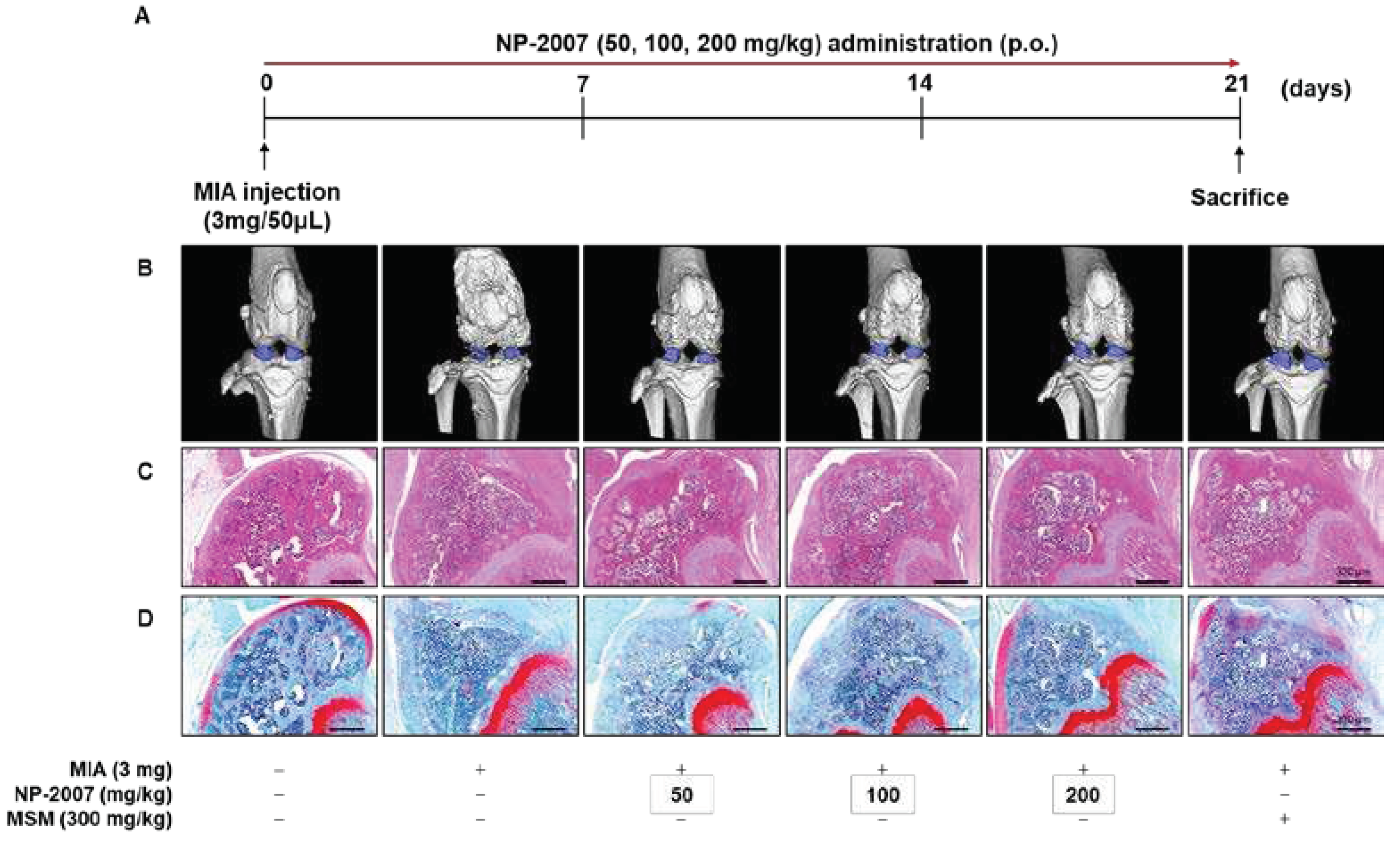 Preprints 77539 g001