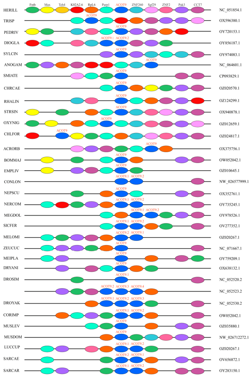 Preprints 236831 g005 Preprints 236831 g005