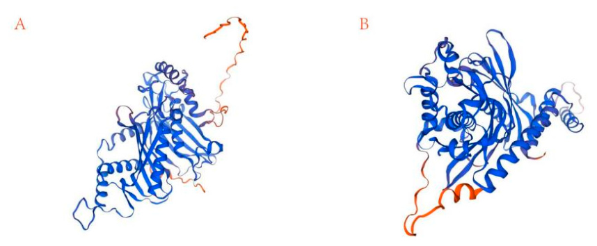 Preprints 236831 g008 Preprints 236831 g008