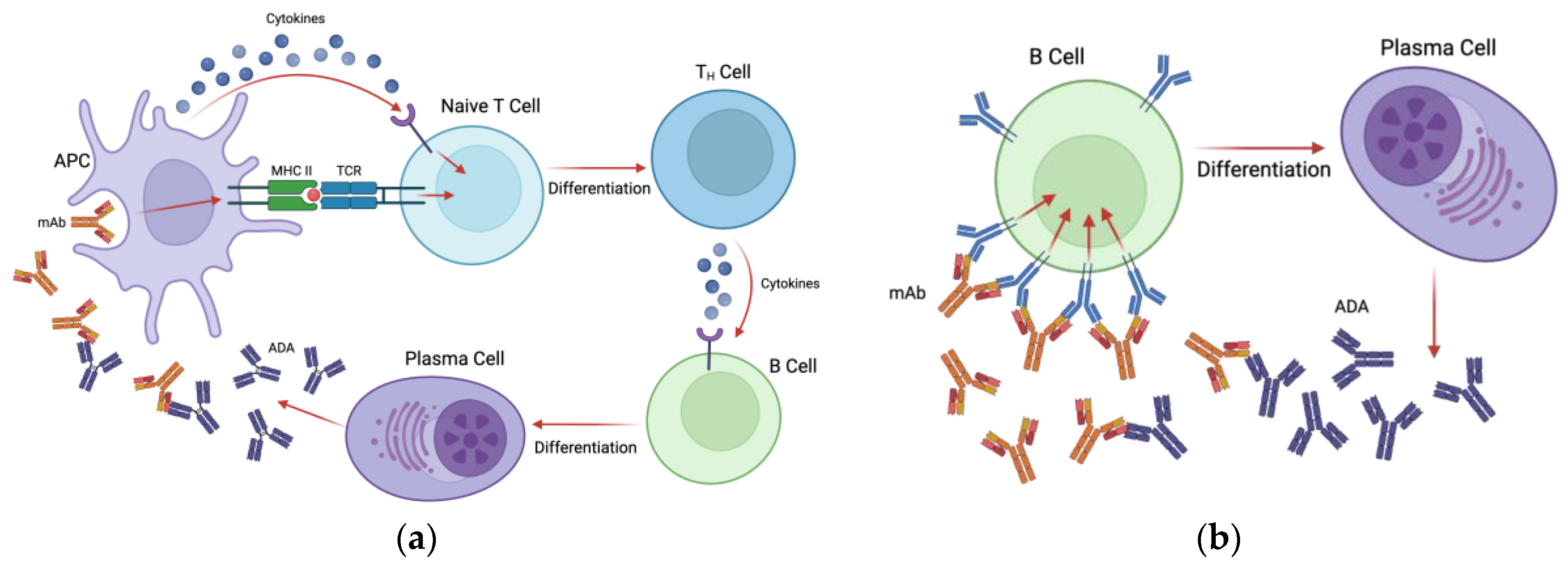 Preprints 144641 g001