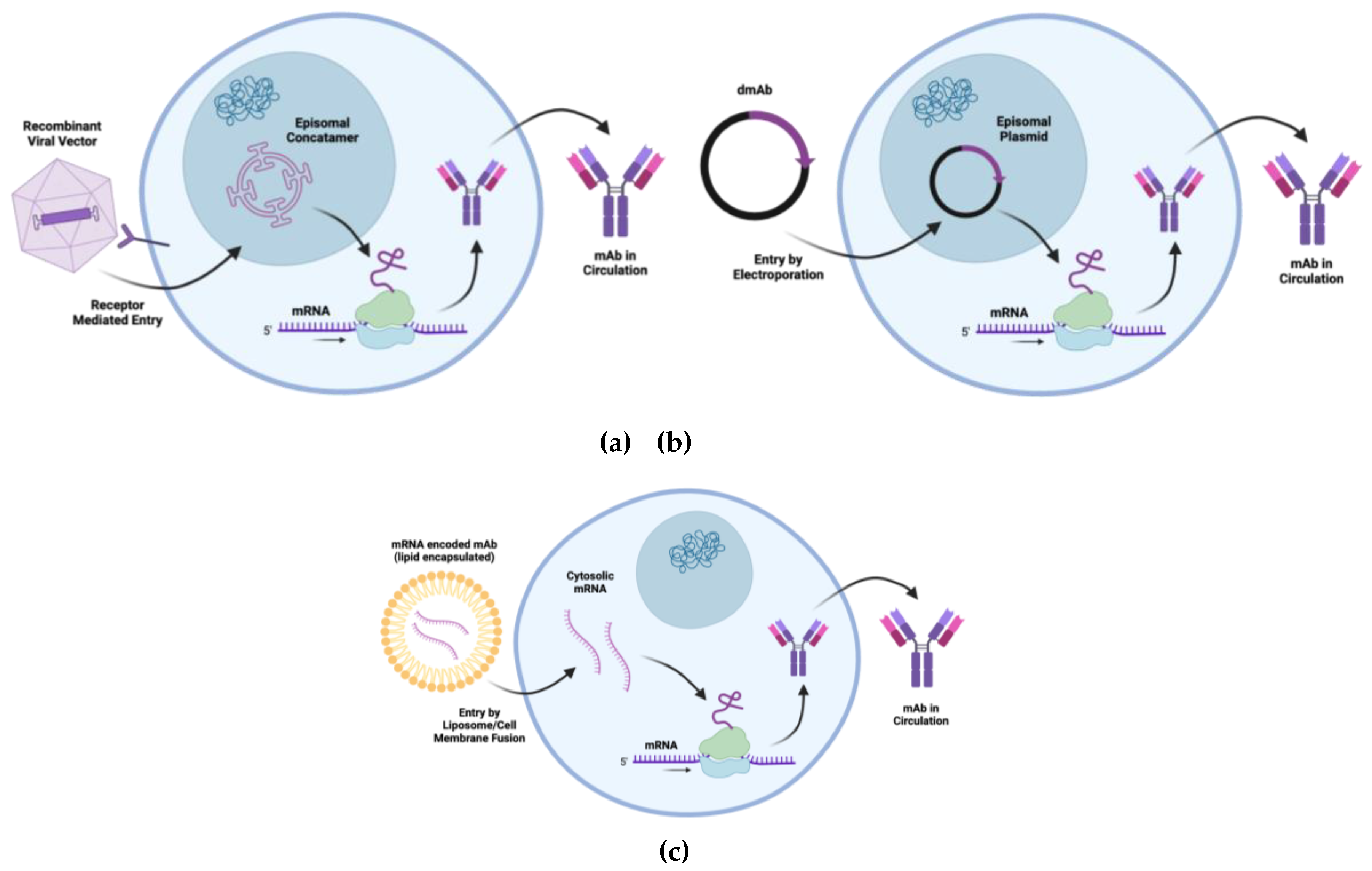 Preprints 144641 g002