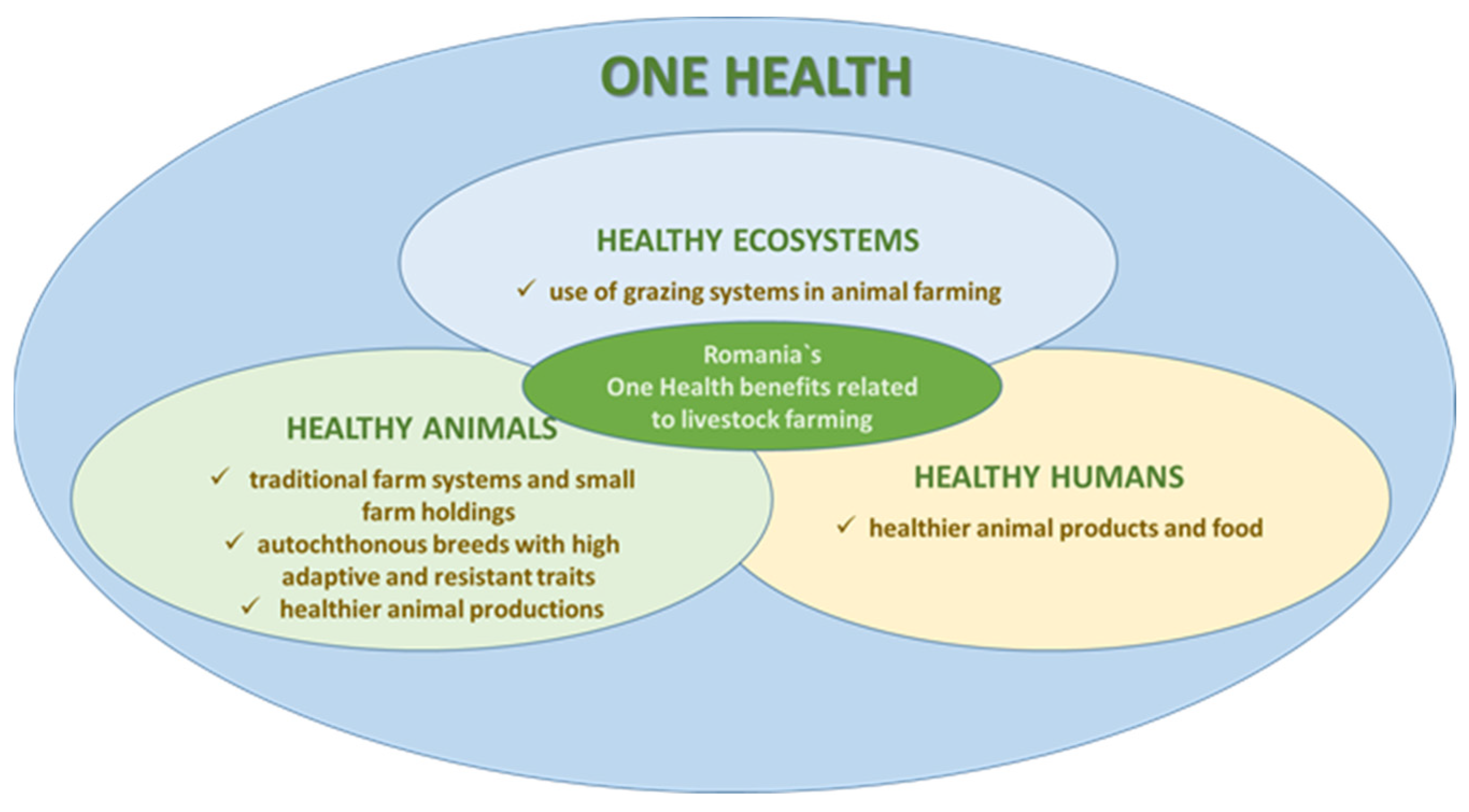 Preprints 91533 g001
