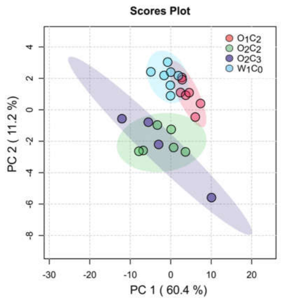 Preprints 213630 g001