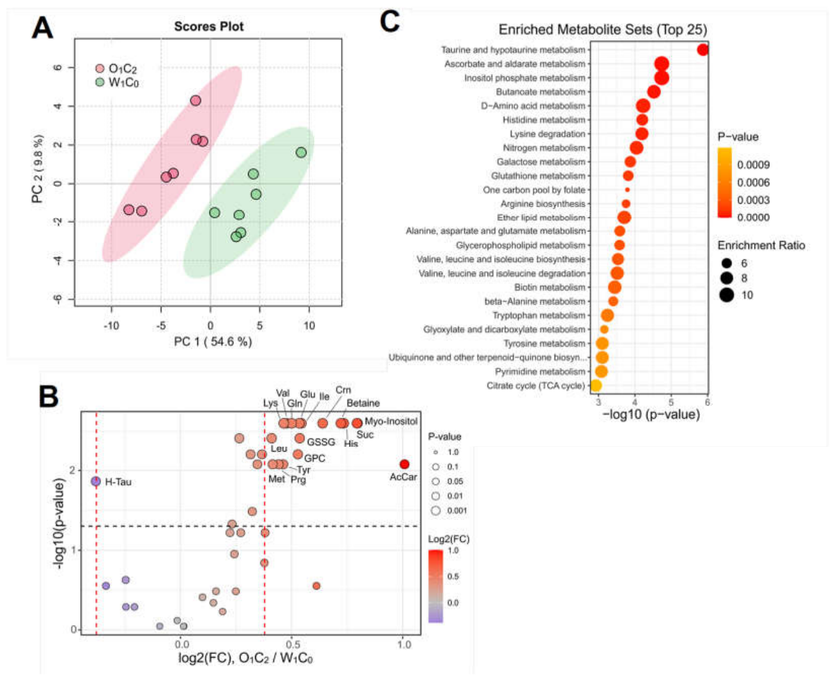 Preprints 213630 g002