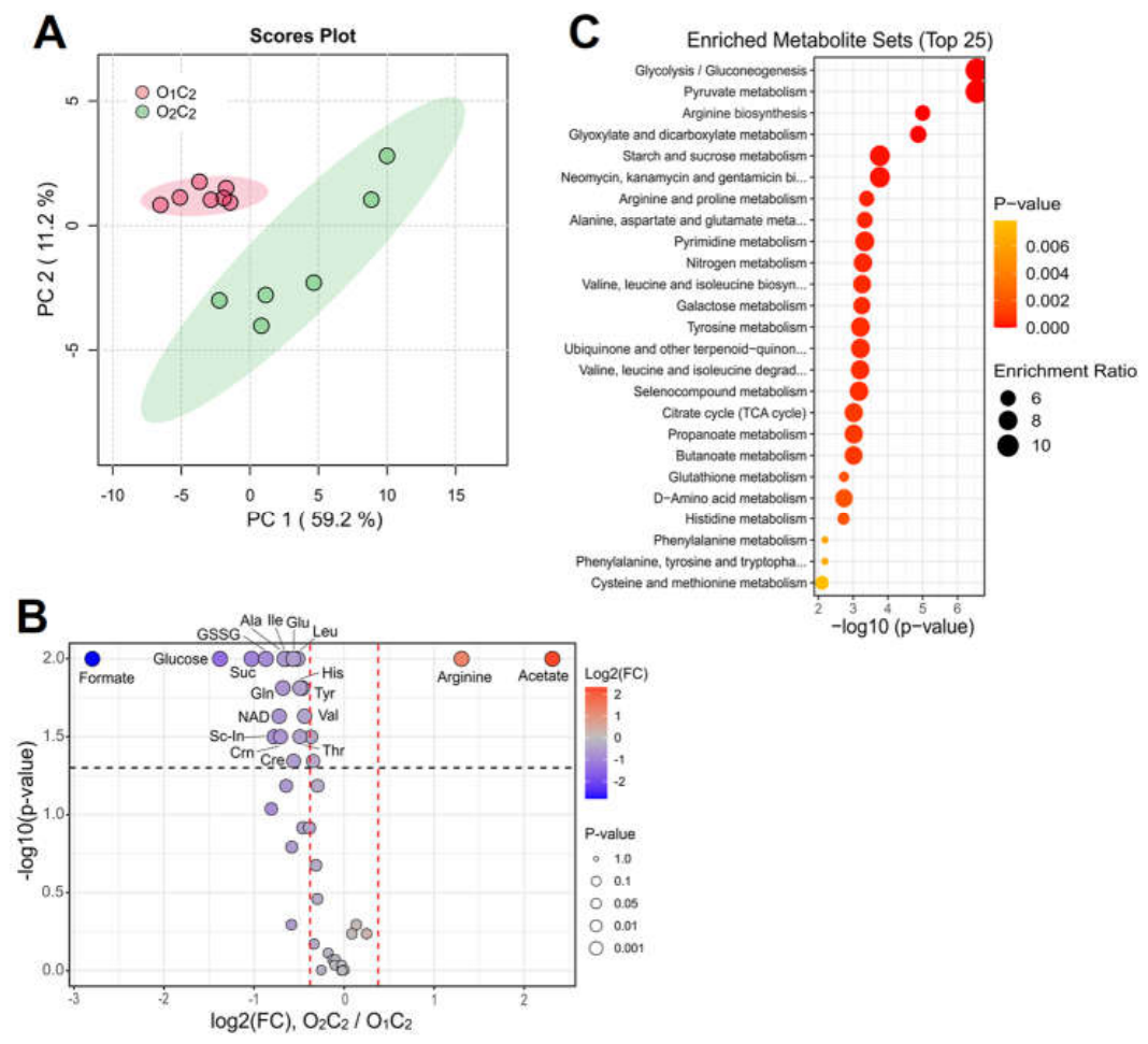Preprints 213630 g003