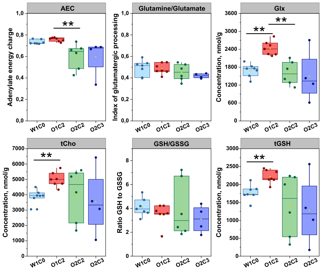 Preprints 213630 g004