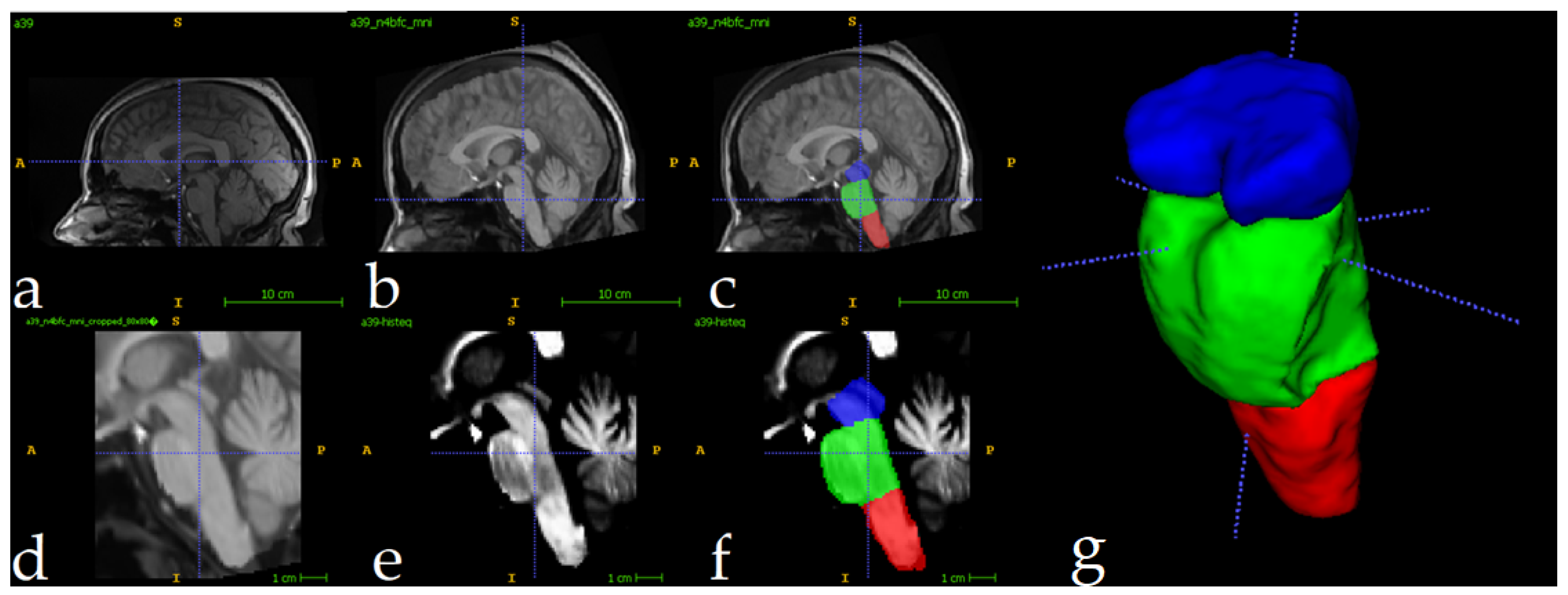 Preprints 169915 g003