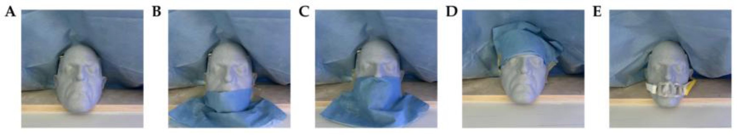 Preprints 177172 g001