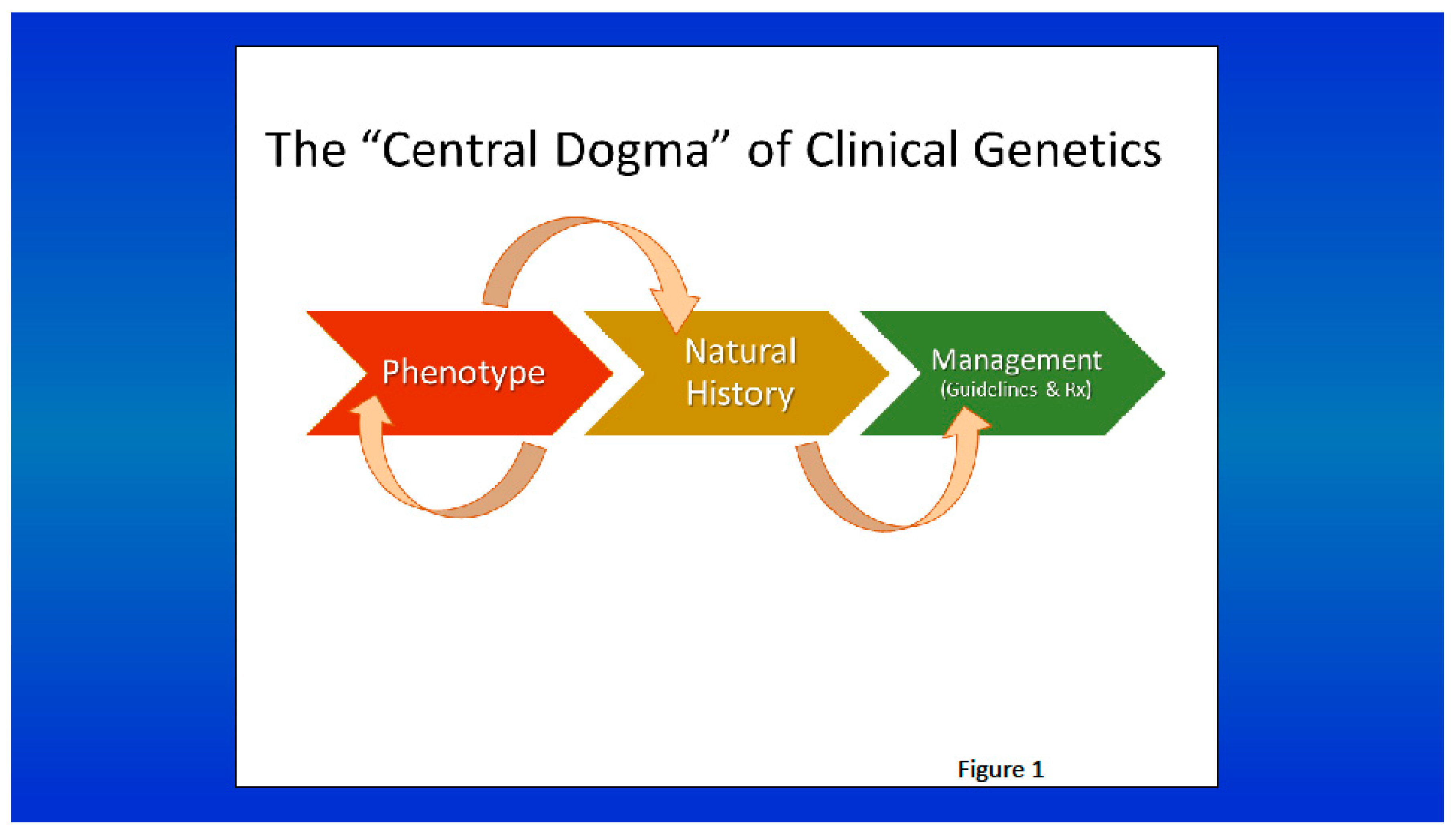 Preprints 189844 g001