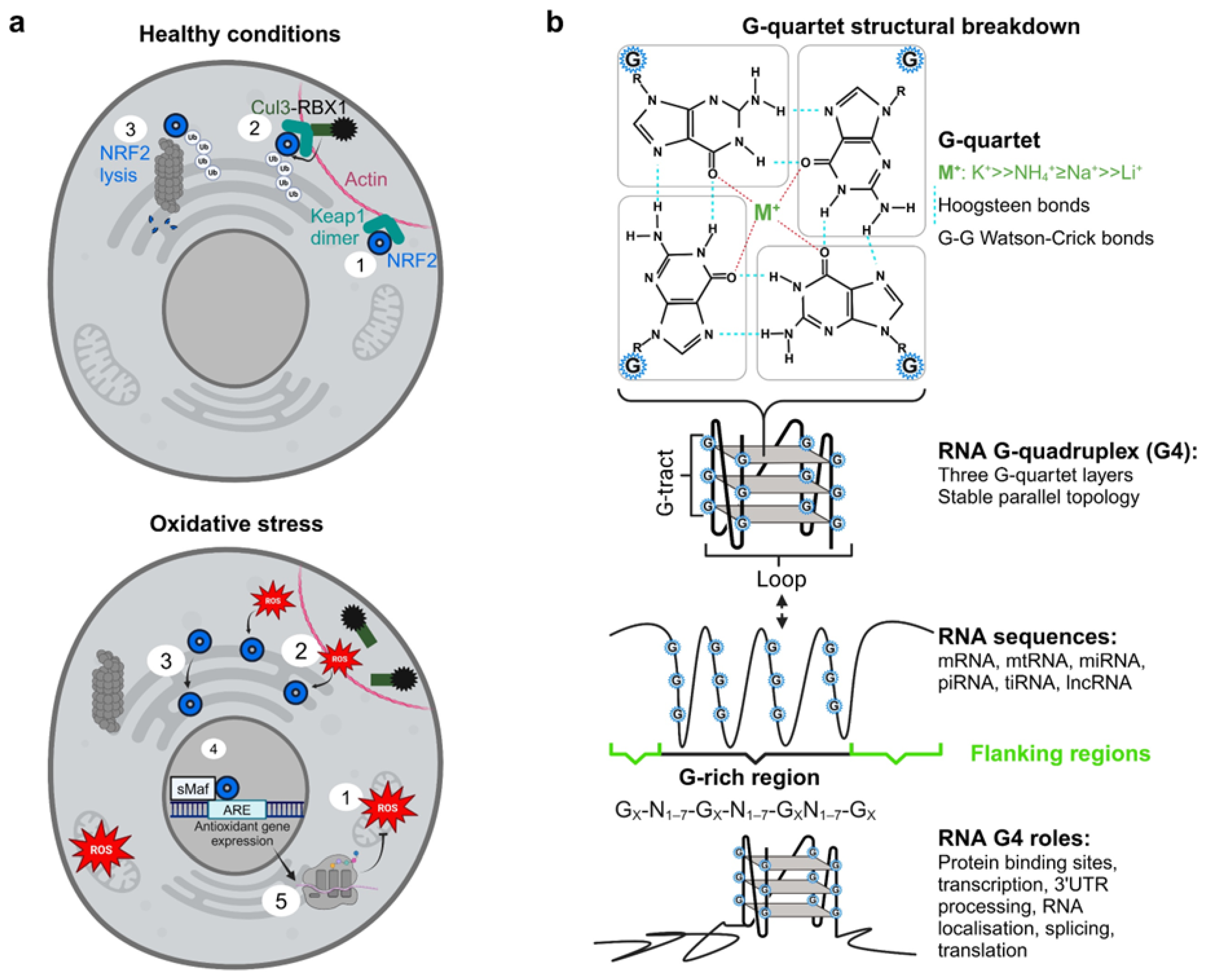 Preprints 194320 g001