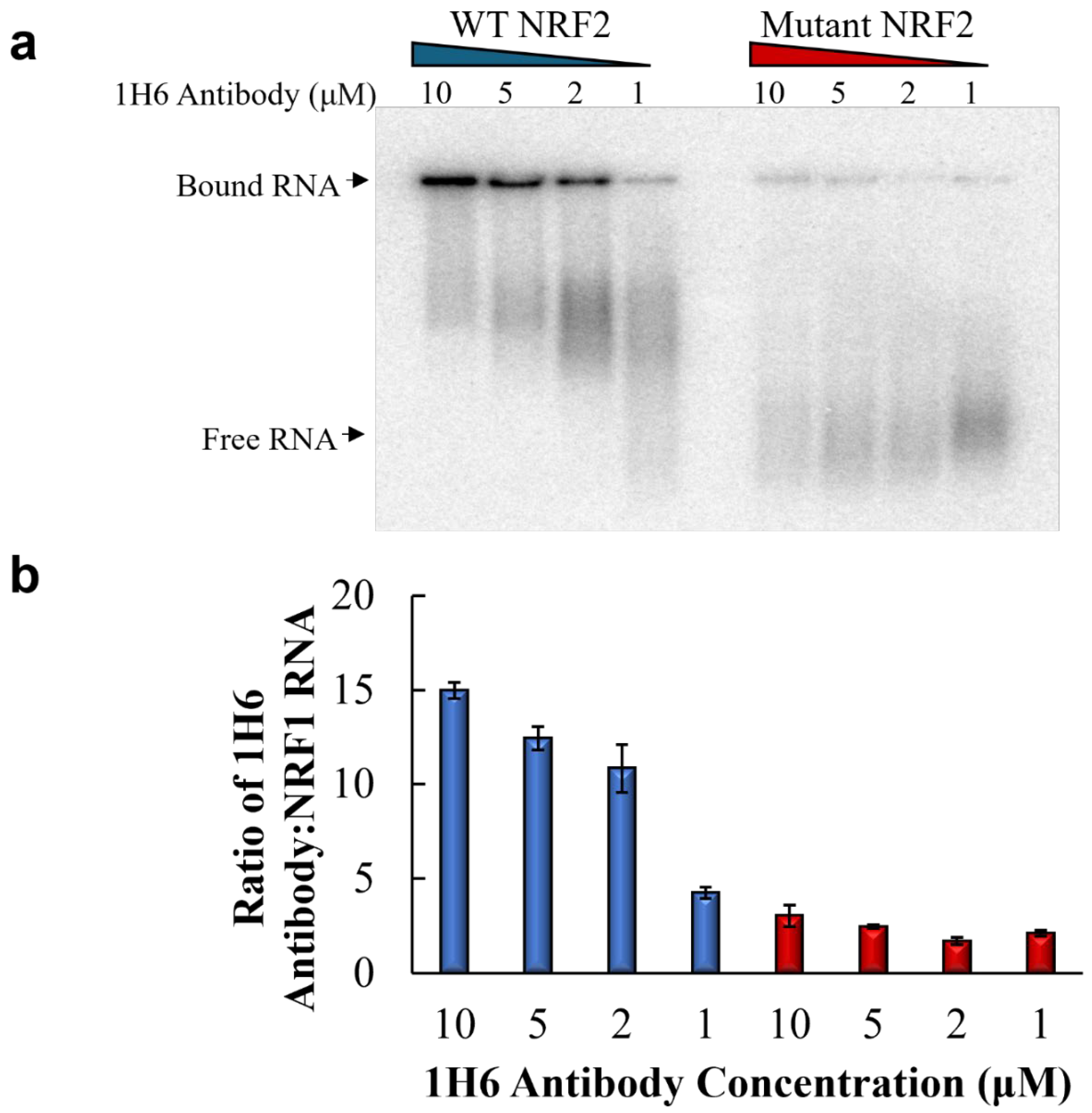 Preprints 194320 g002