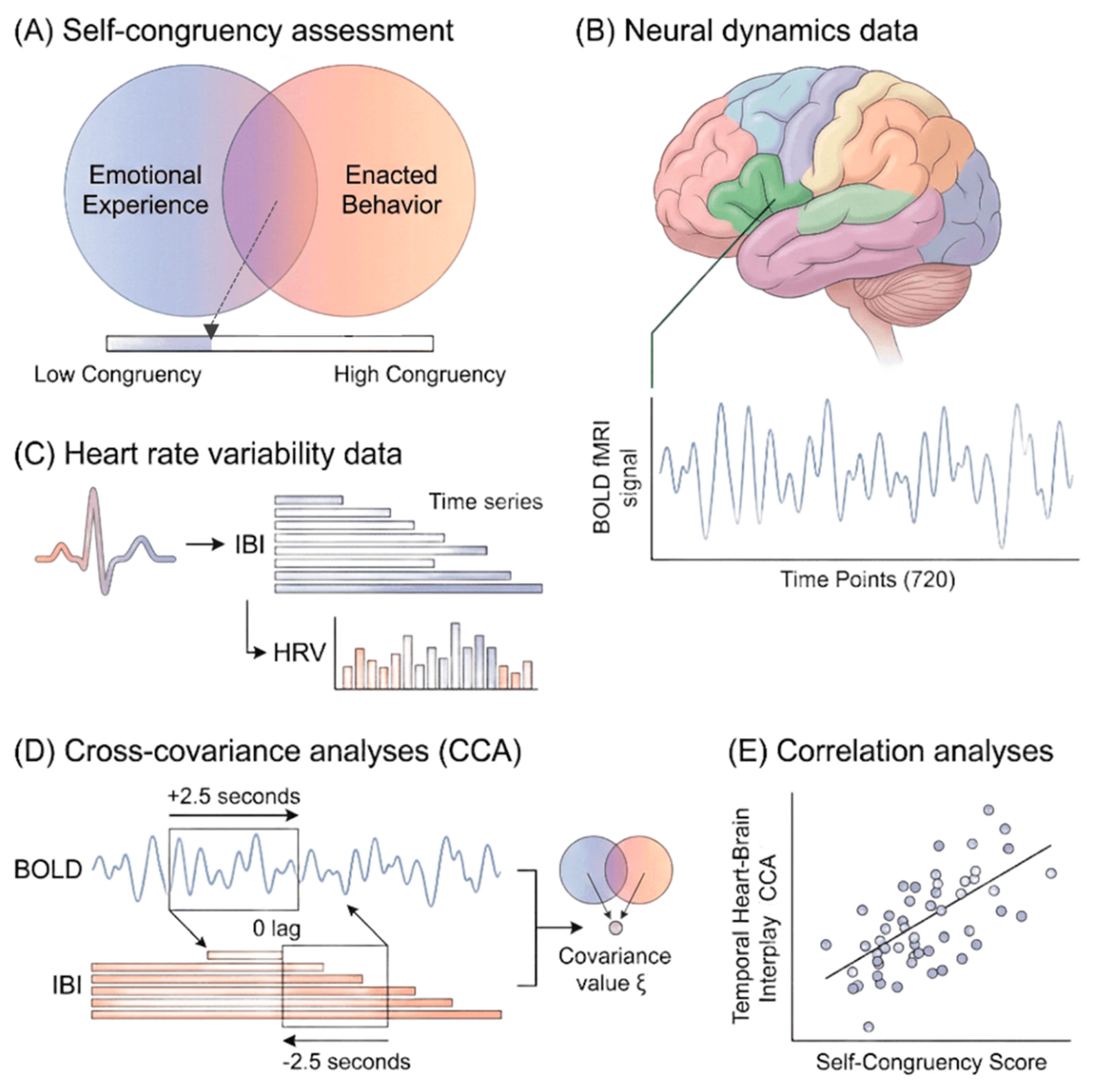 Preprints 190041 g001