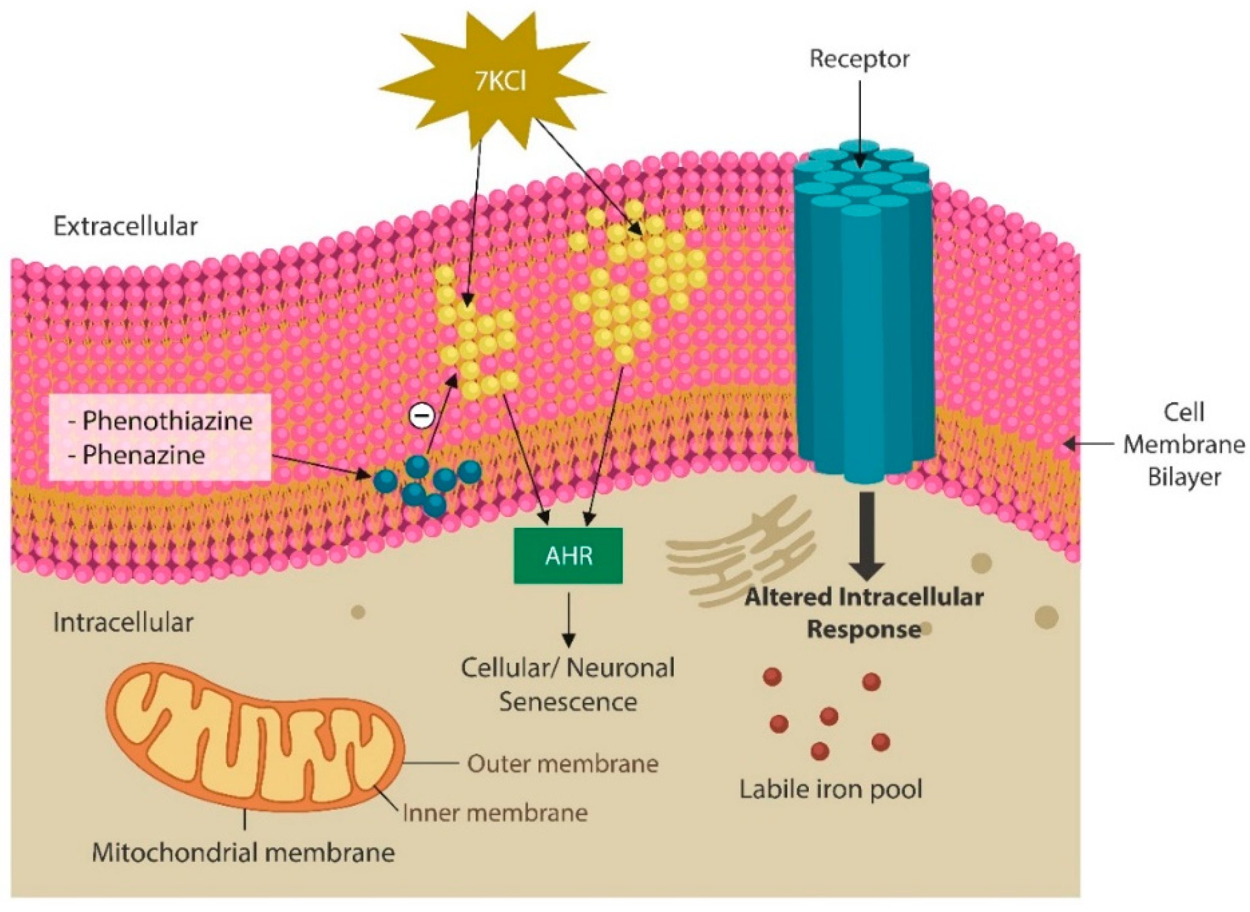 Preprints 158192 g002