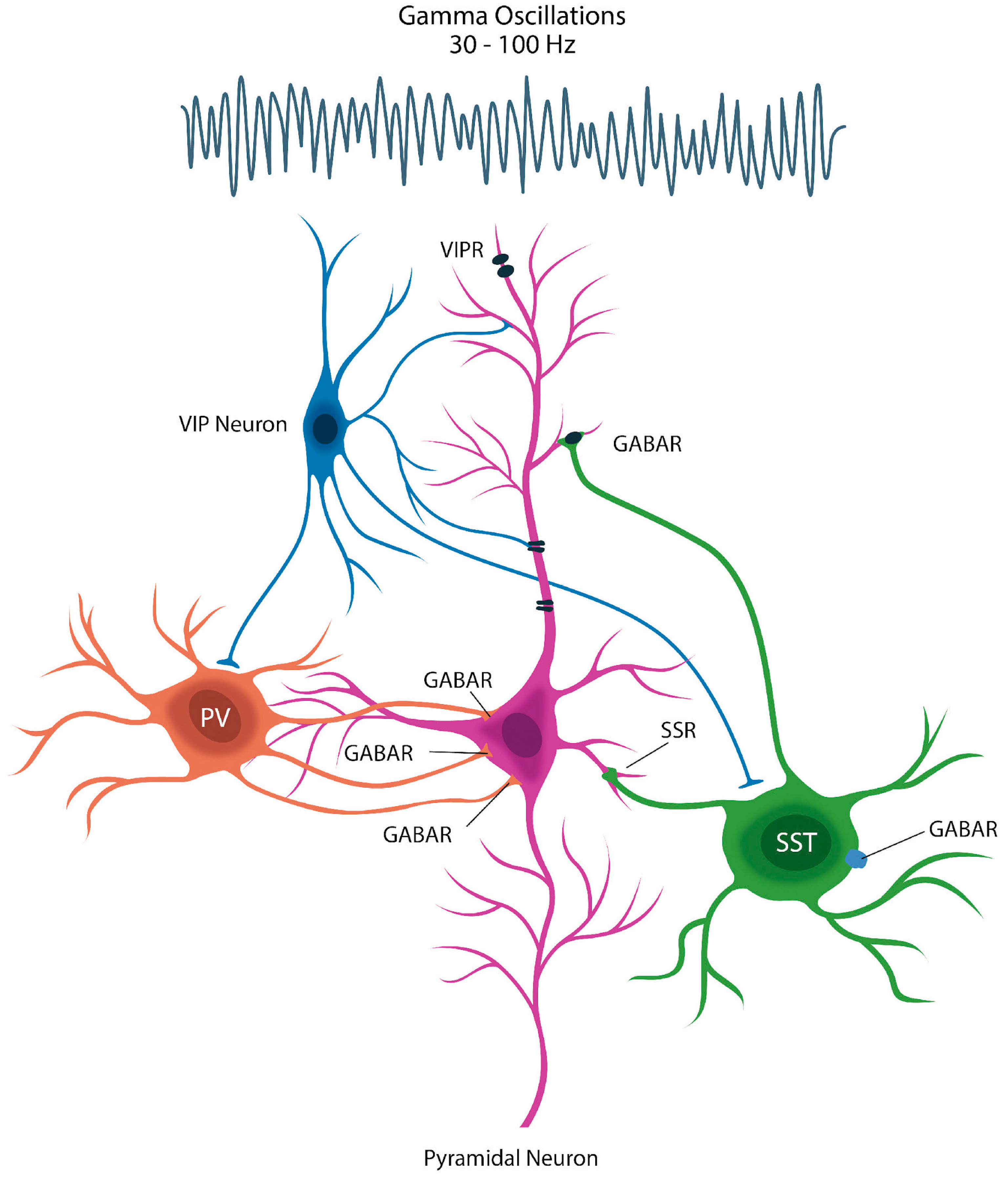 Preprints 158192 g003