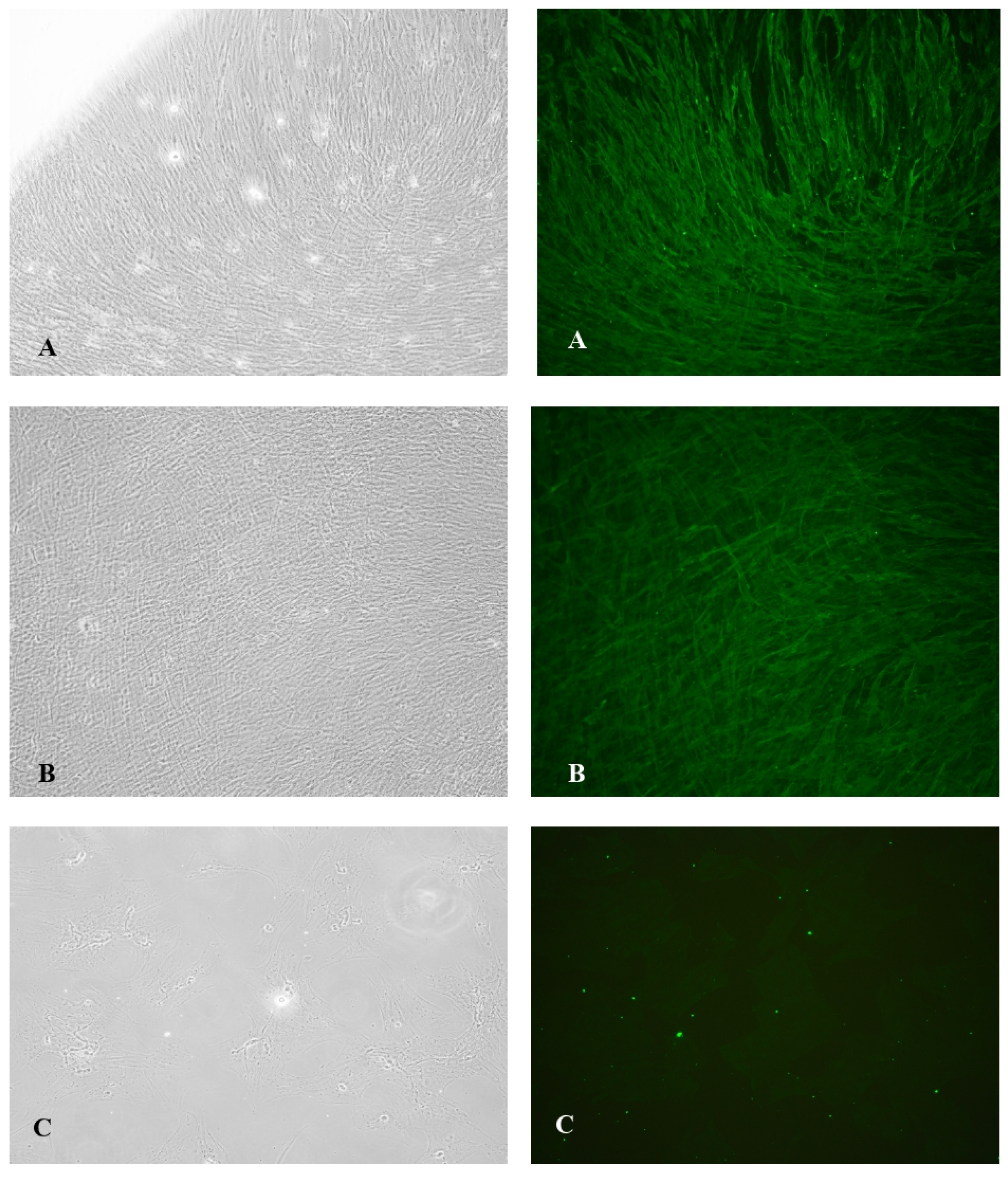 Preprints 89834 g001