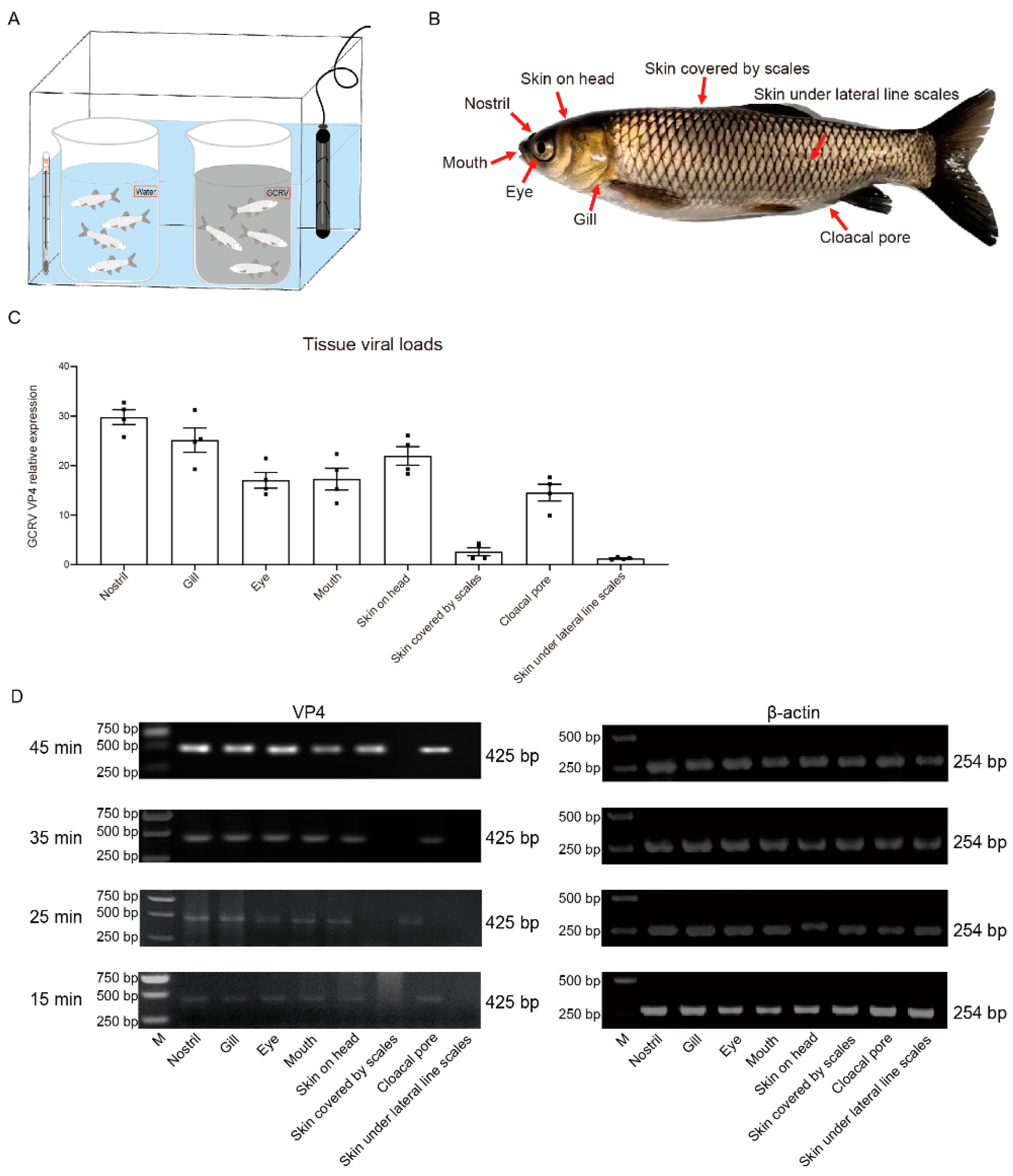Preprints 78017 g001
