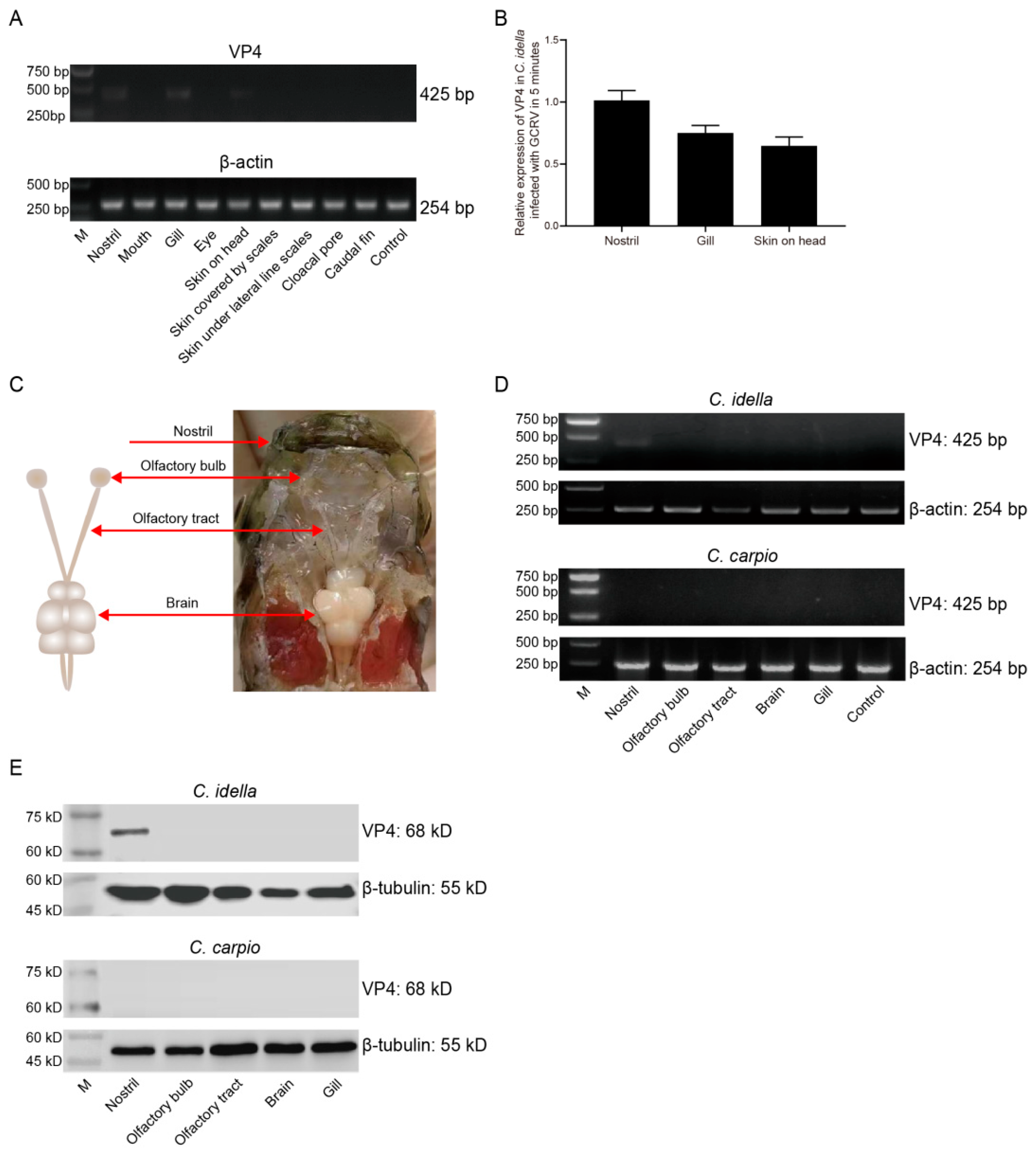 Preprints 78017 g002
