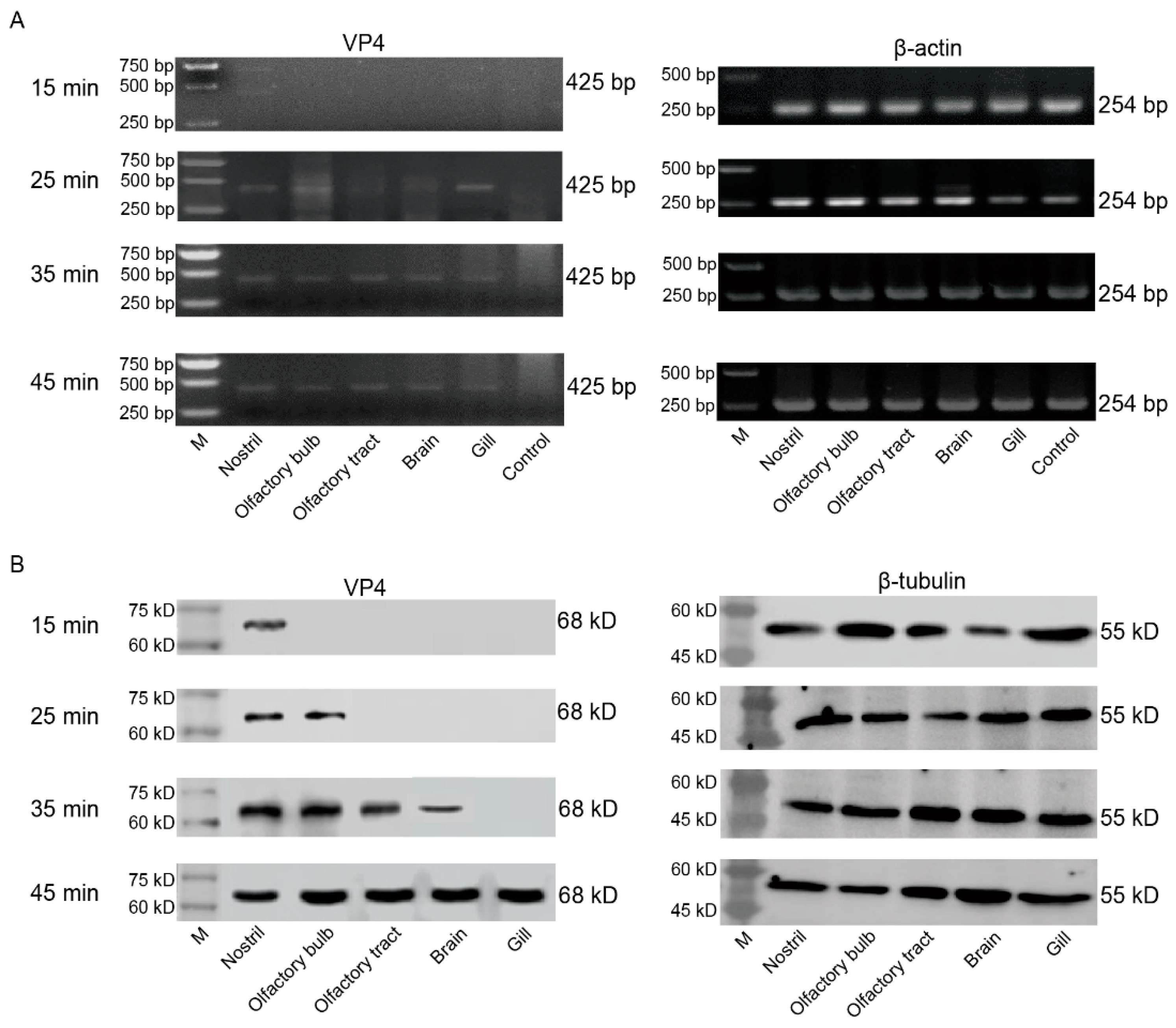 Preprints 78017 g005