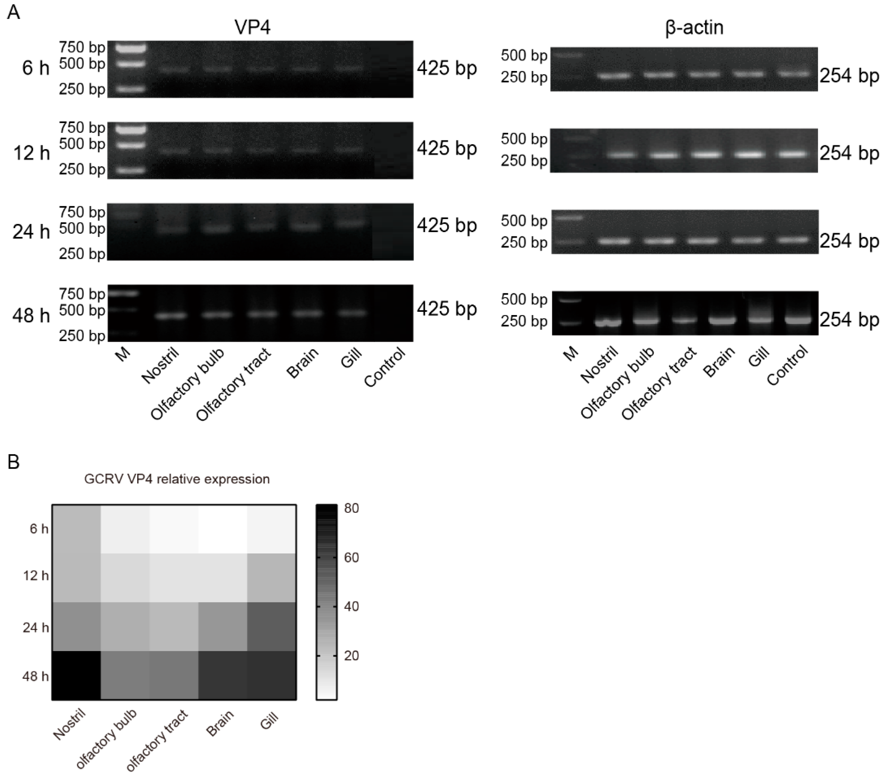 Preprints 78017 g006