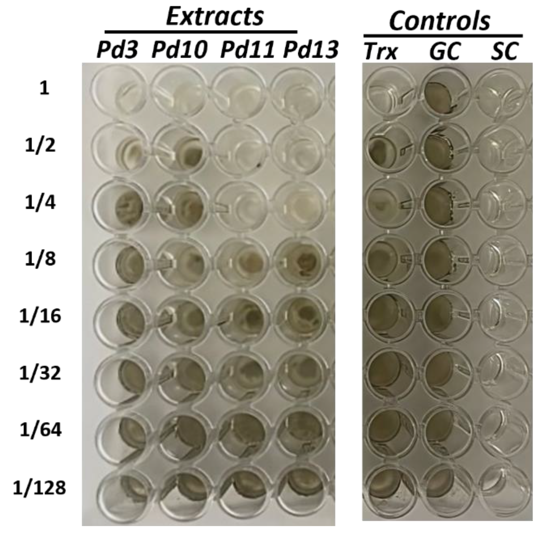 Preprints 204945 g002 Preprints 204945 g002