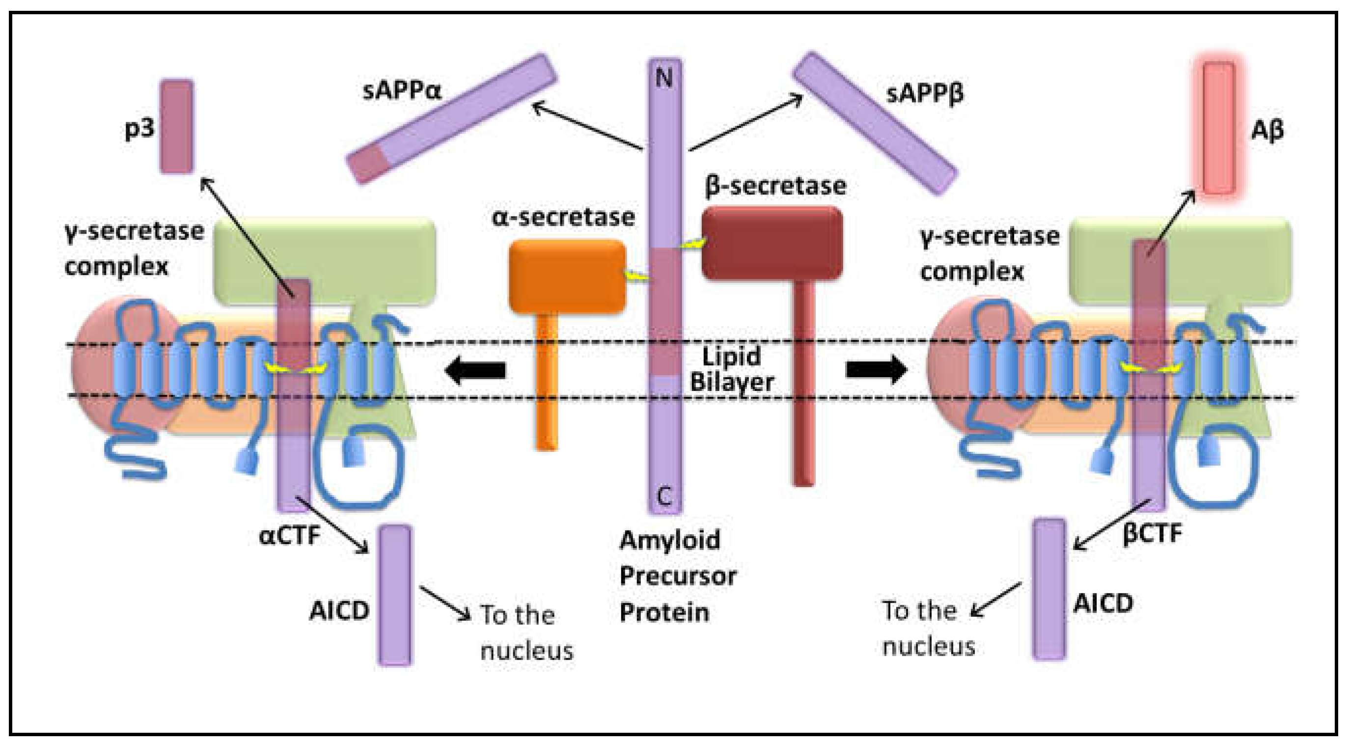 Preprints 71510 g001