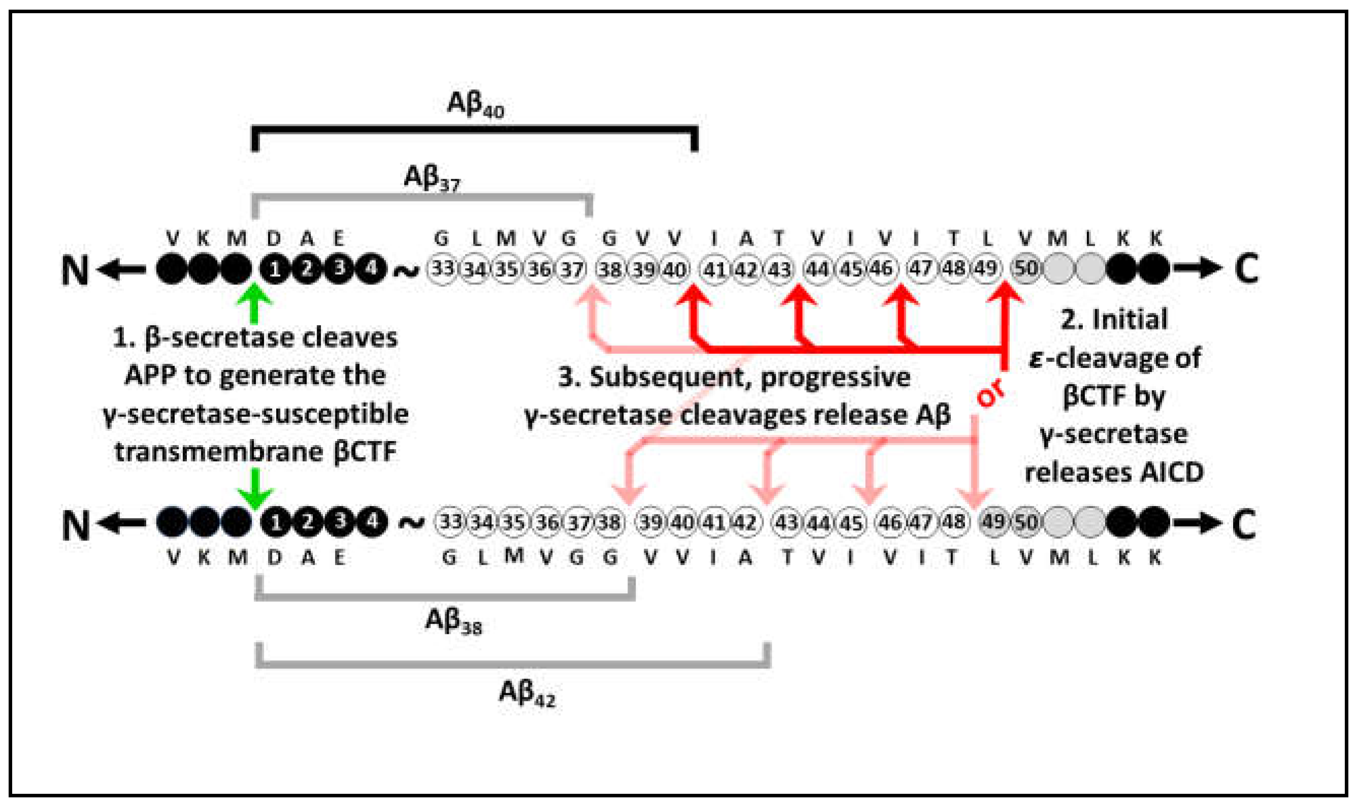 Preprints 71510 g003