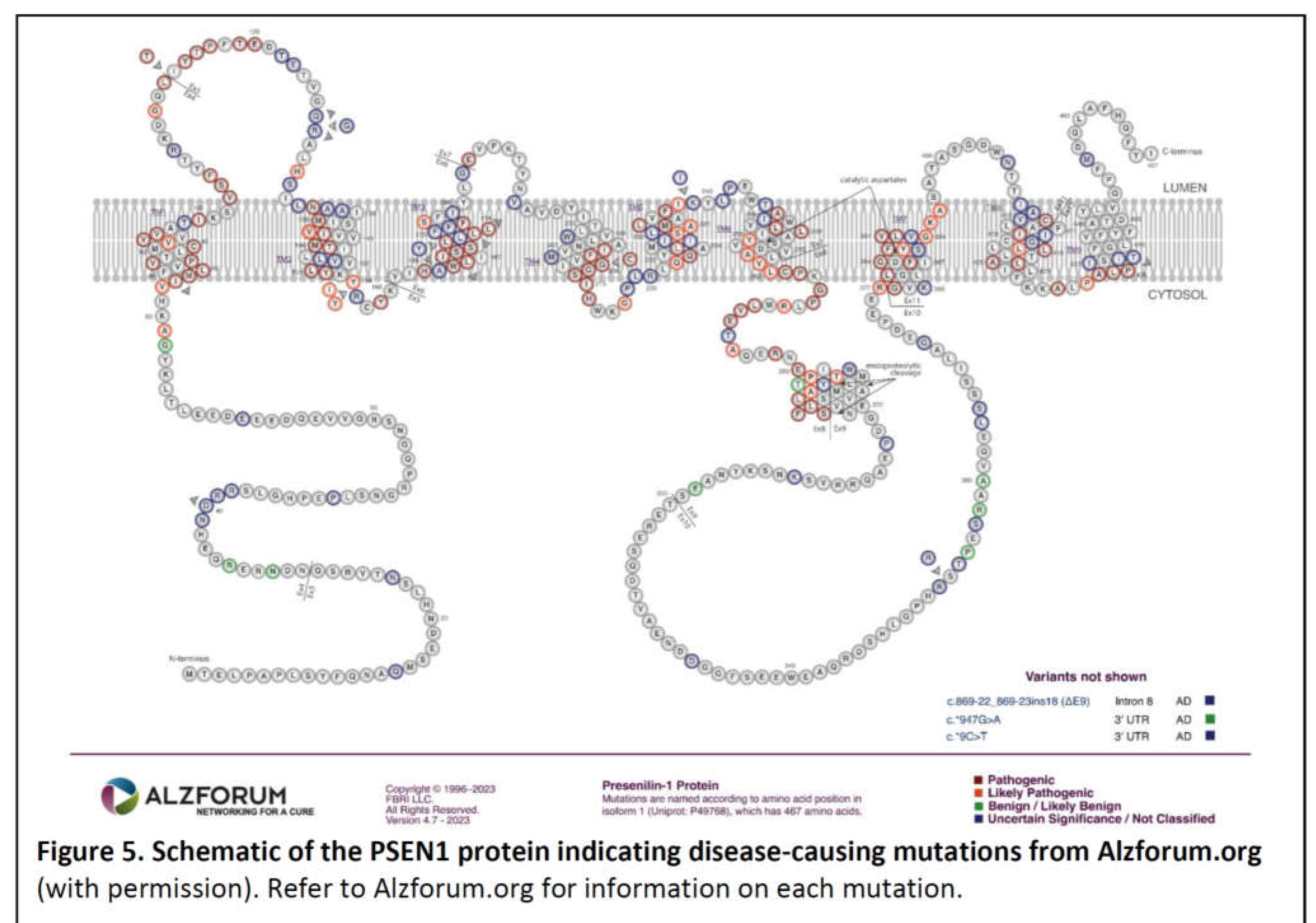 Preprints 71510 g005