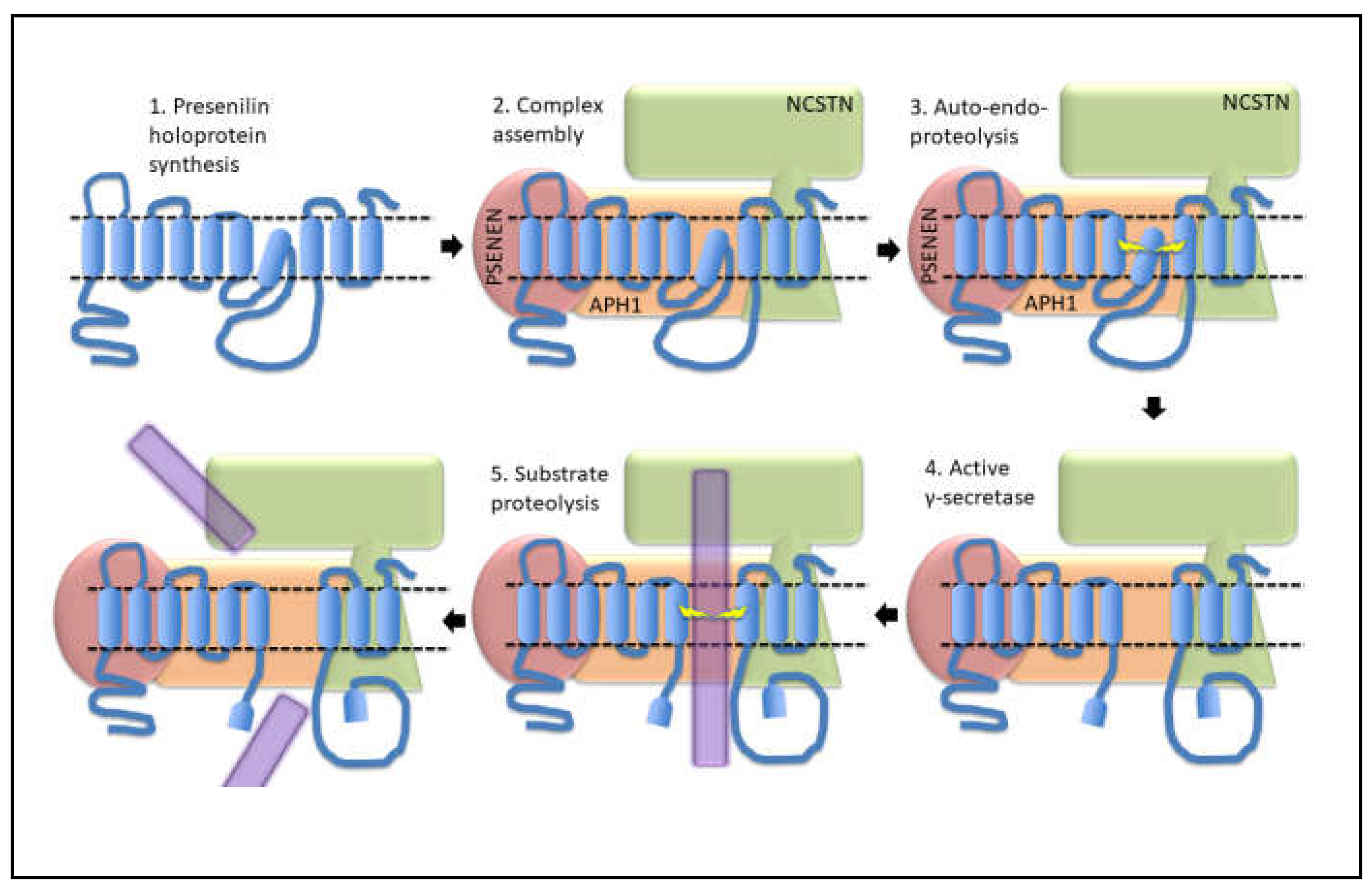 Preprints 71510 g007