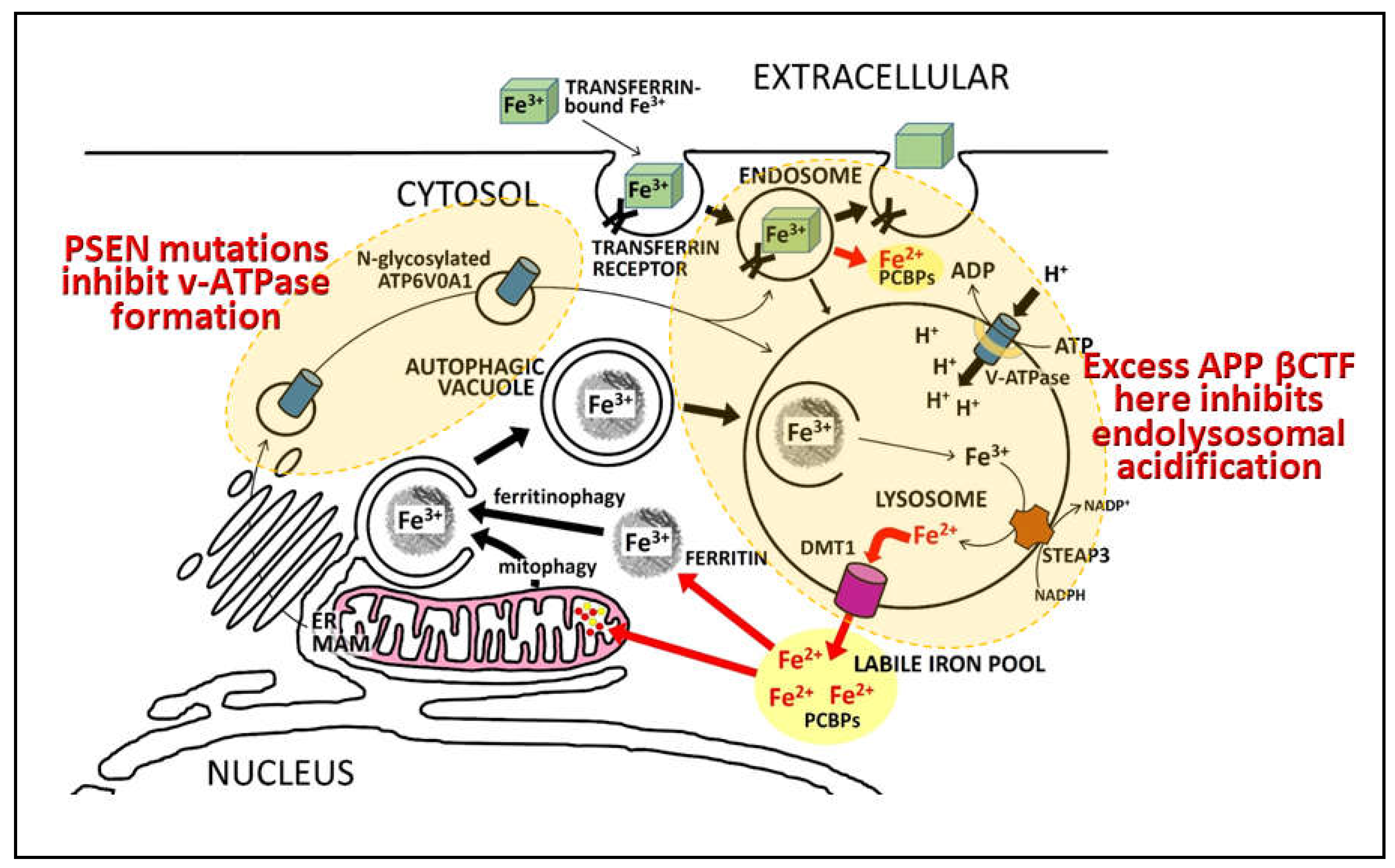 Preprints 71510 g008