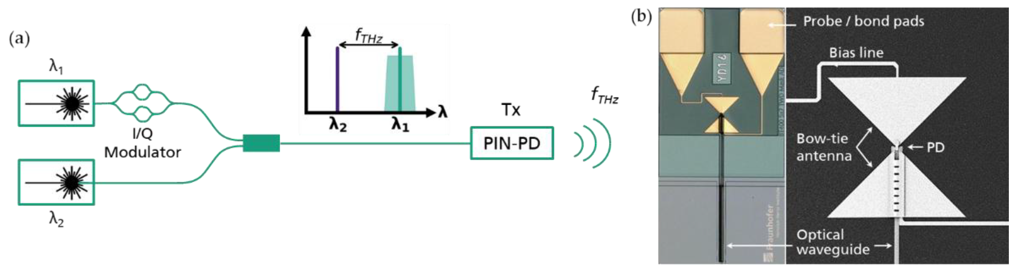 Preprints 152595 g006
