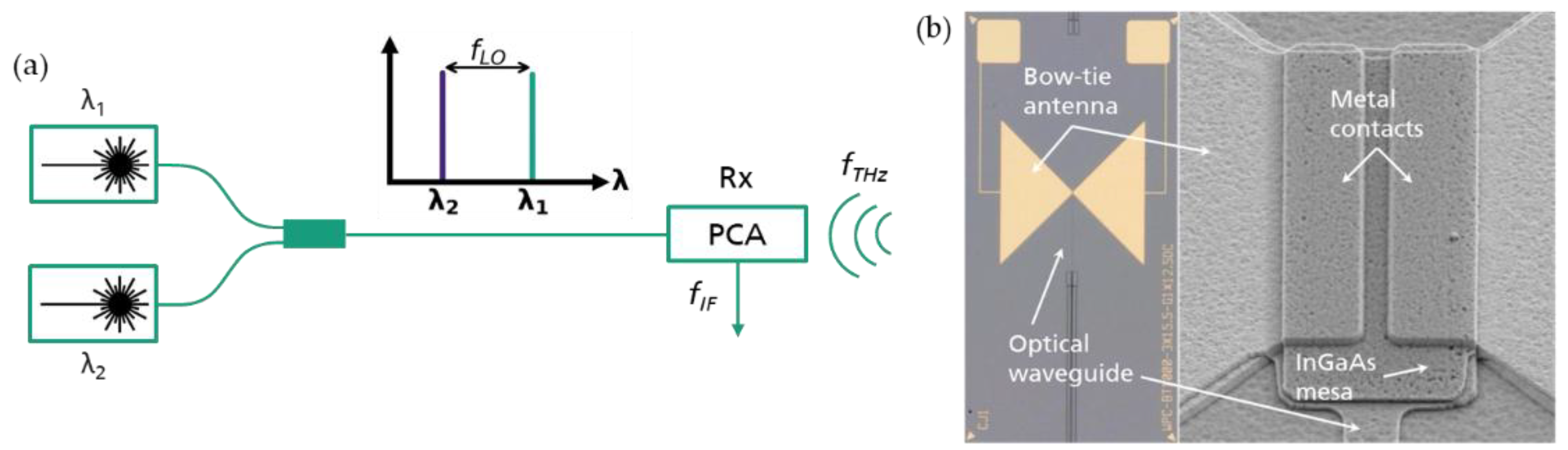 Preprints 152595 g007
