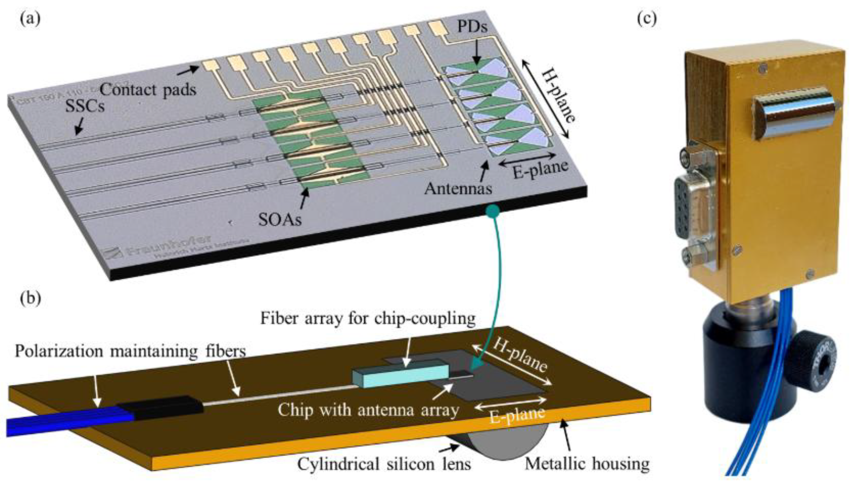 Preprints 152595 g008