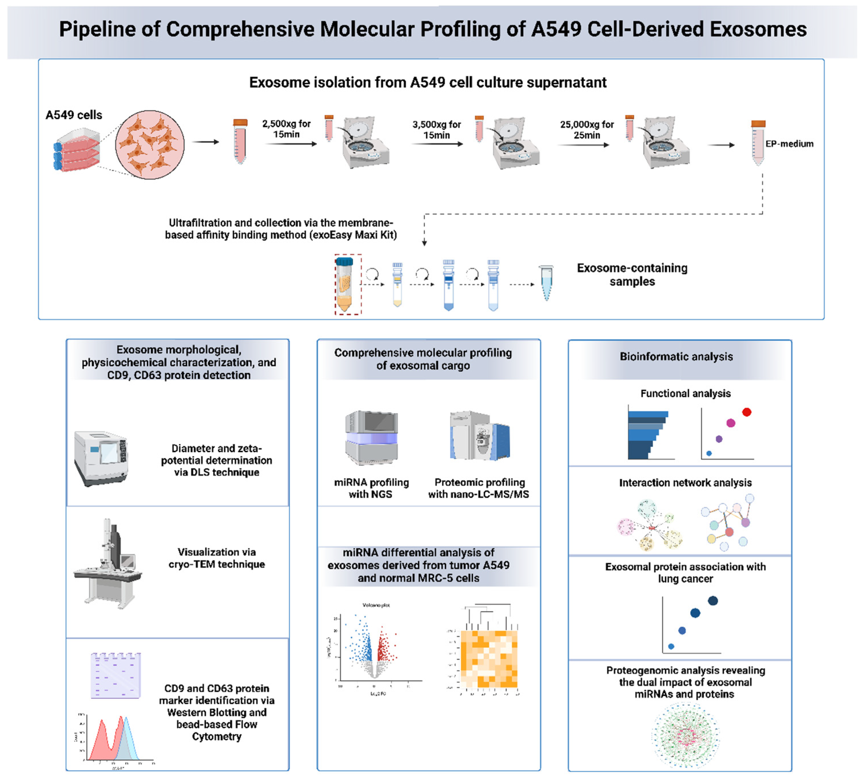 Preprints 139234 g001