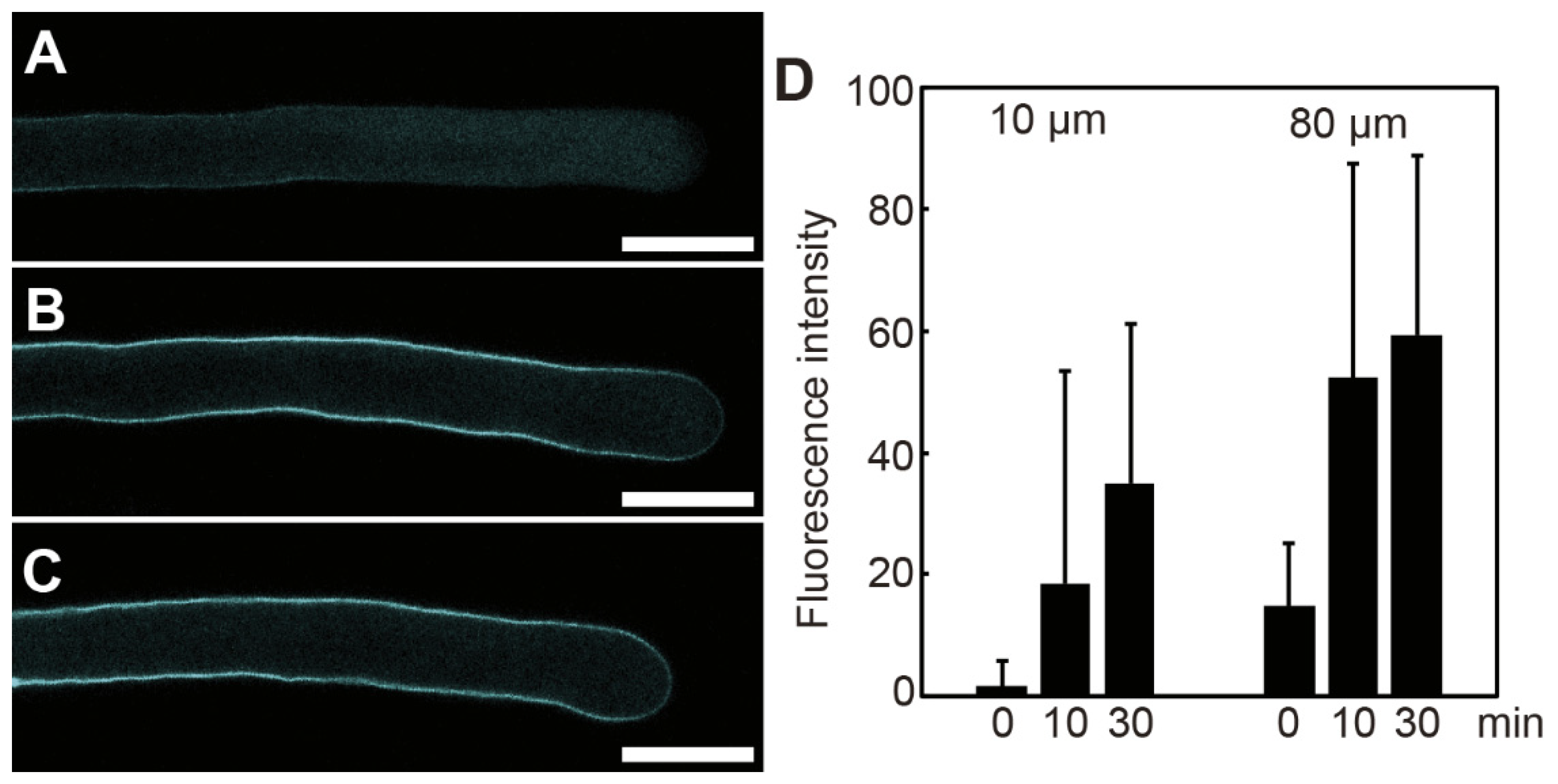 Preprints 163973 g003