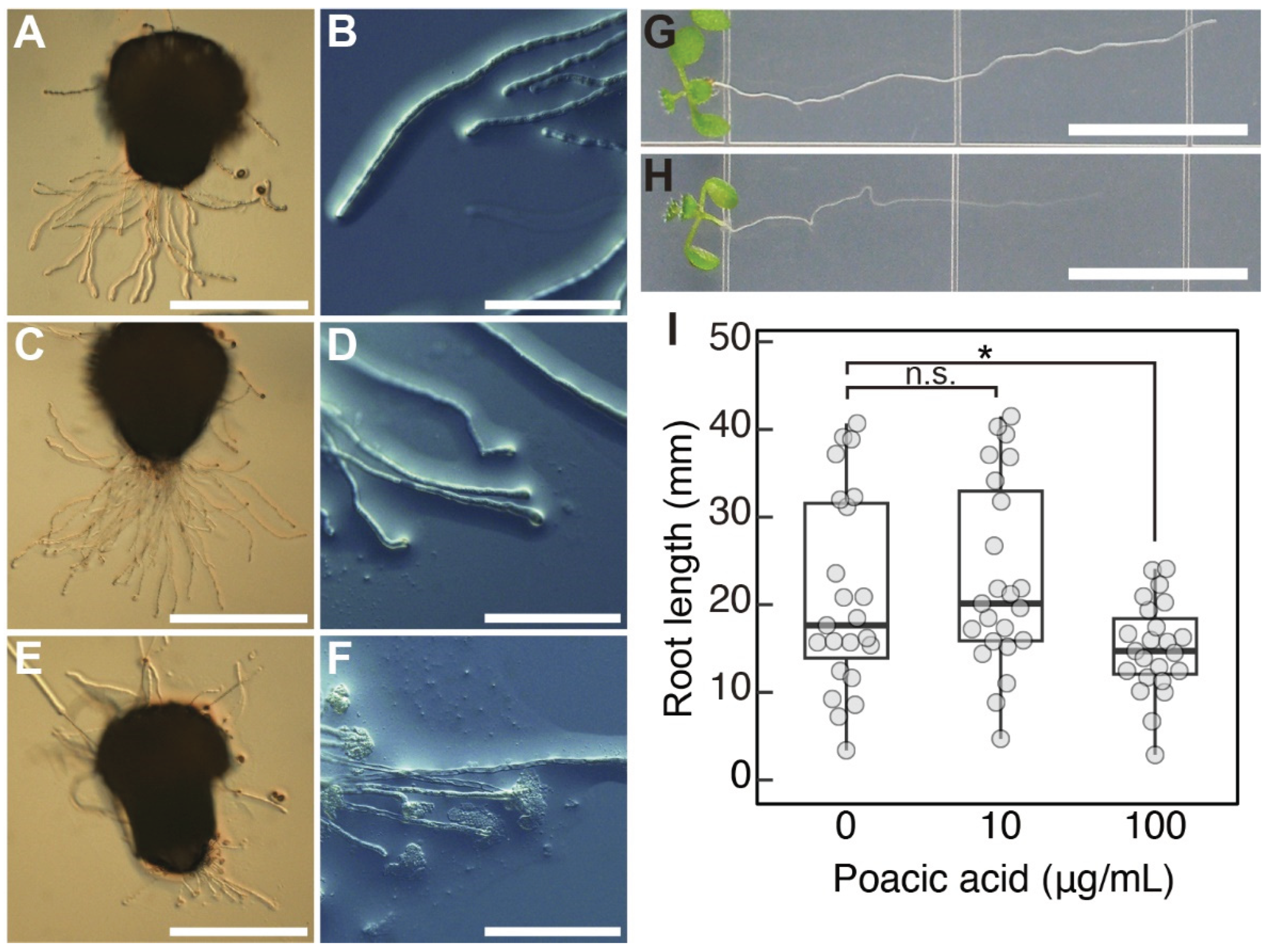 Preprints 163973 g006